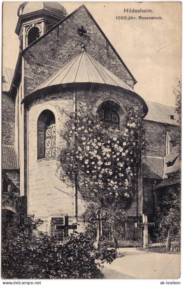 Ansichtskarte Hildesheim Dom 1000 Jähriger Rosenstock 1913 - Hildesheim