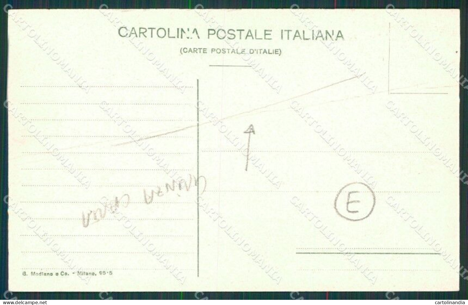 Catanzaro Terremoto Delle Calabrie Vibo Valentia GRINZA CARTA Cartolina QZ4123 - Catanzaro