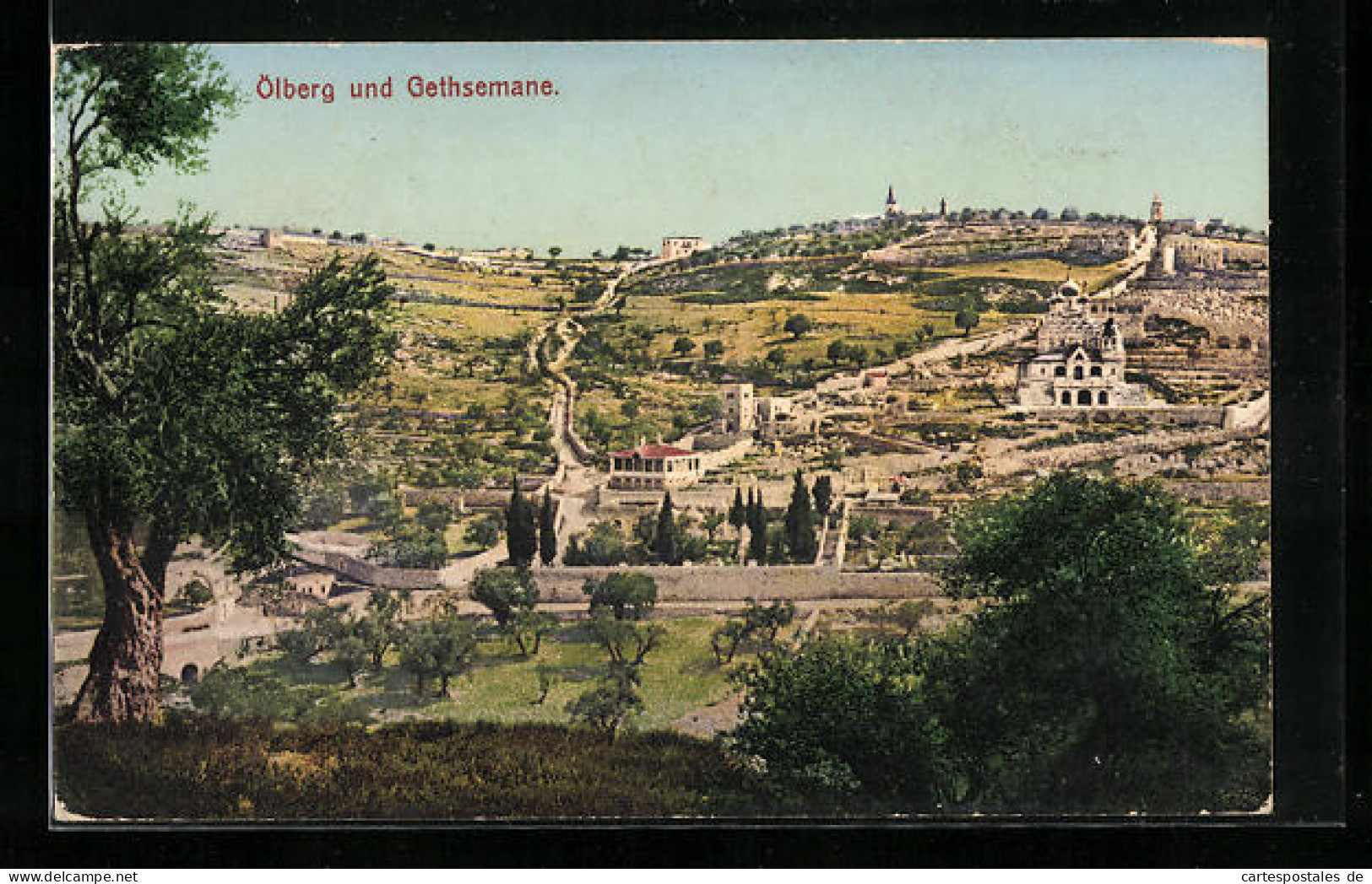 AK Jerusalem, Ölberg Und Gethsemane  - Palästina
