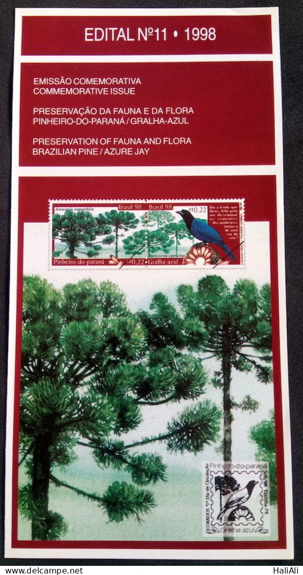 Brochure Brazil Edital 1998 11 Preservation Fauna Flora Araucaria Bird Without Stamp - Storia Postale
