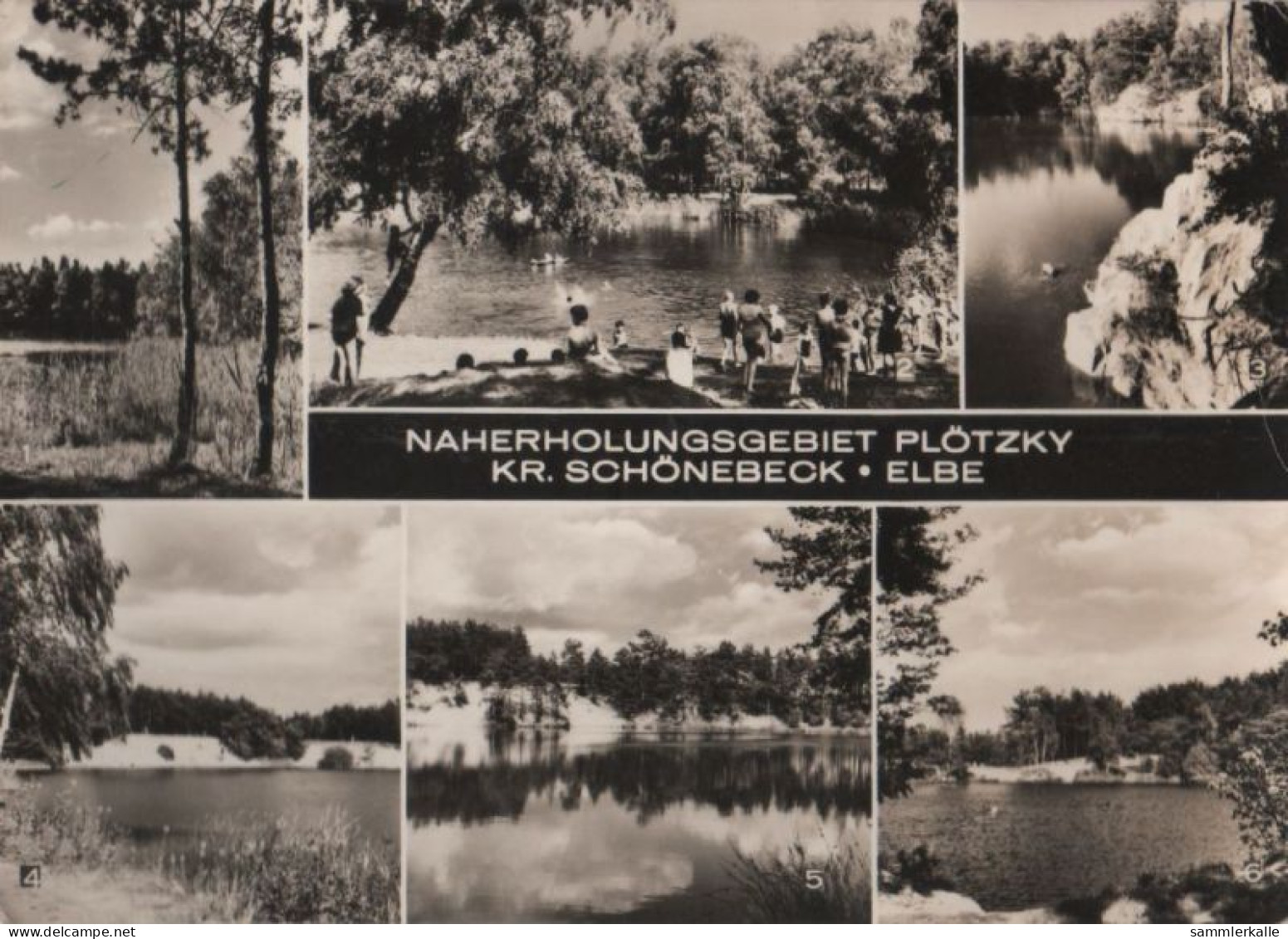 83102 - Plötzky - Naherholungsgebiet, U.a. Giselasee - 1978 - Schönebeck (Elbe)
