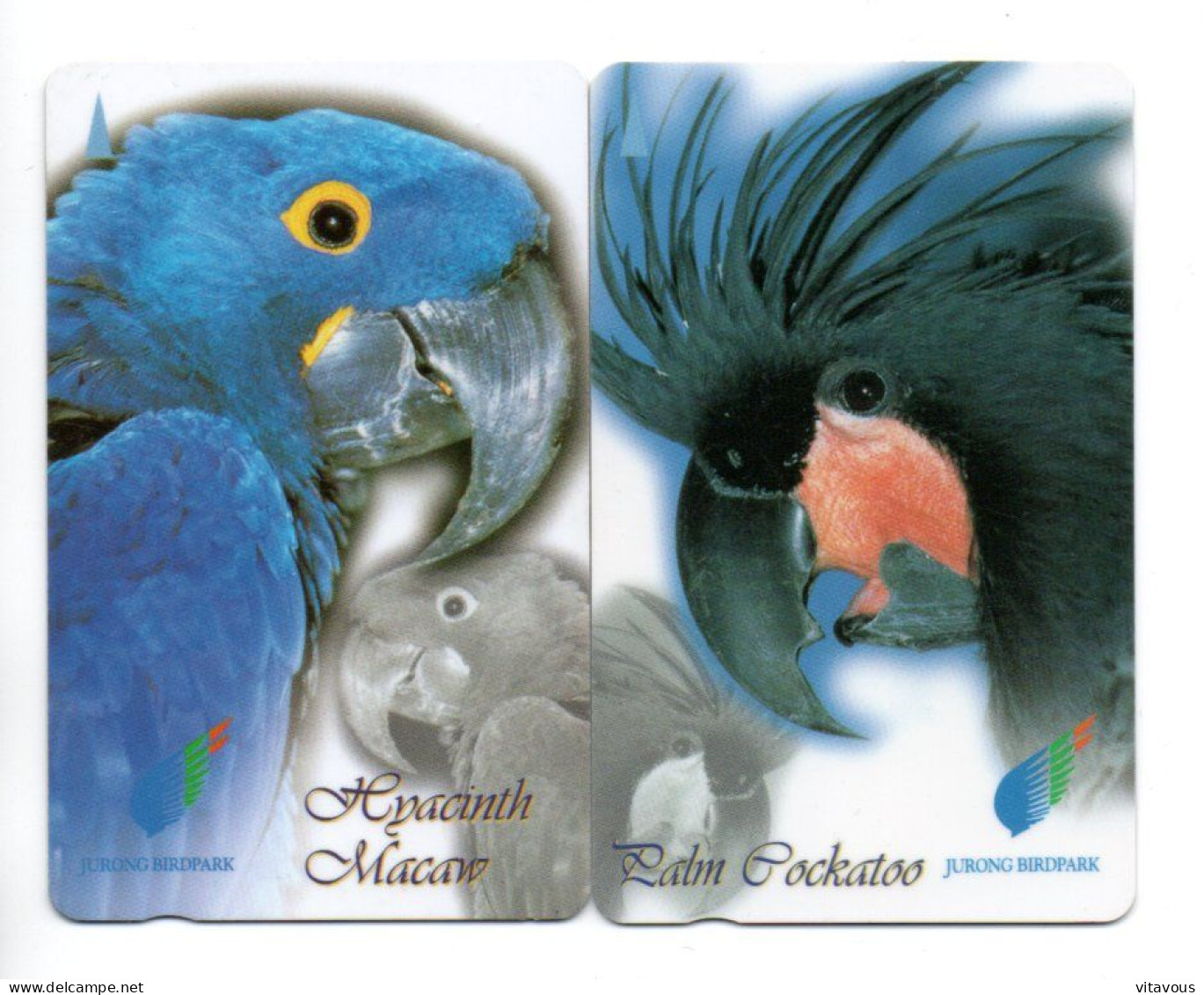 Perroquet Parrot Puzzle 2 Télécartes Singapour Phonecard  (K 203) - Singapur