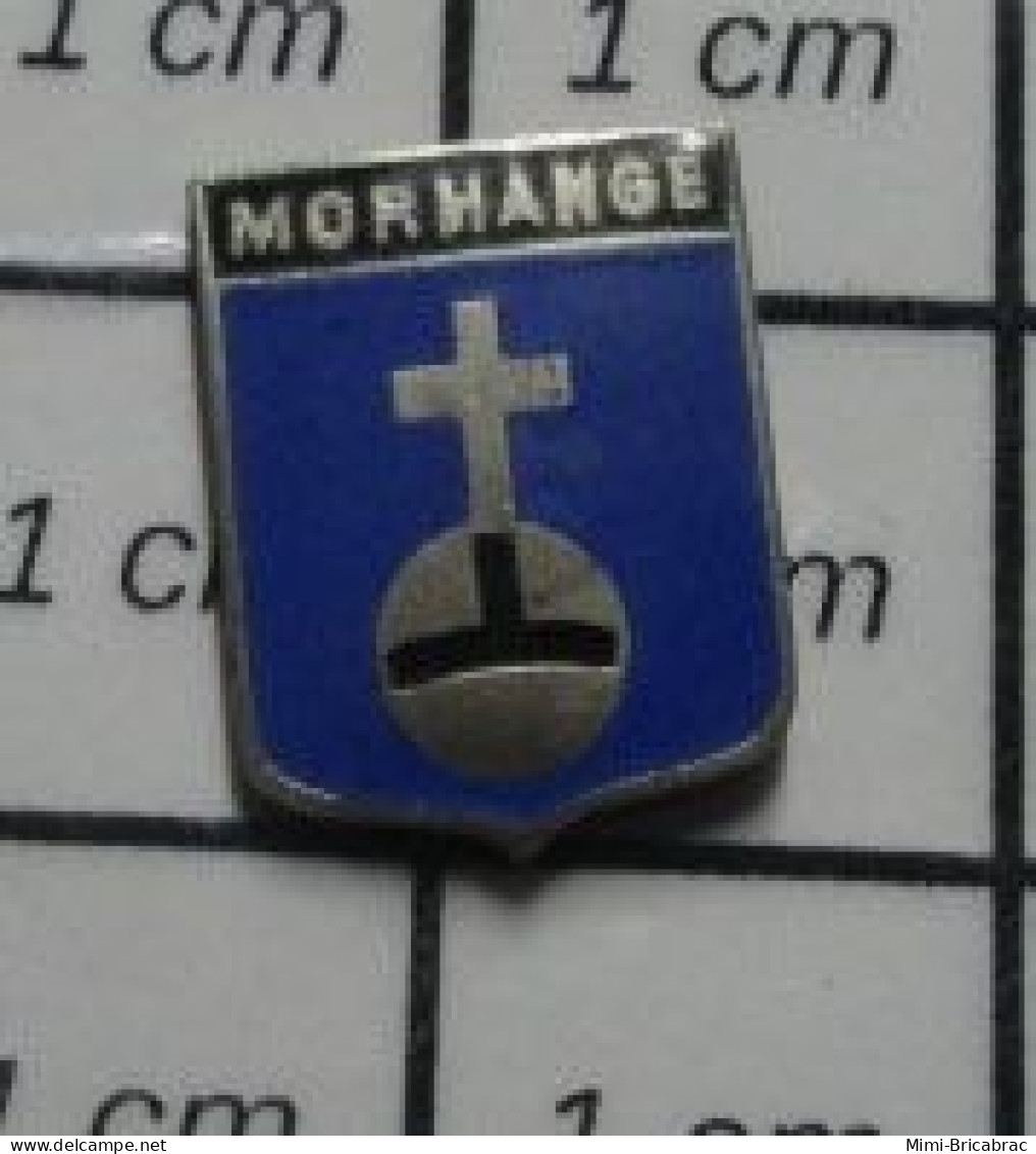 2717 Pin's Pins / Beau Et Rare : VILLES / BLASON ARMOIRIES MORHANGE Mini Pin's - Policia