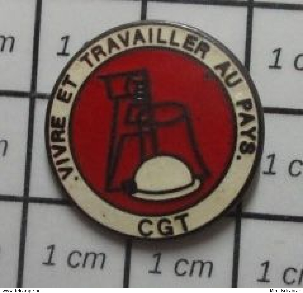 1216B Pin's Pins / Beau Et Rare / ASSOCIATIONS / SYNDICAT CGT VIVRE ET TRAVAILLER AU PAYS - Associations