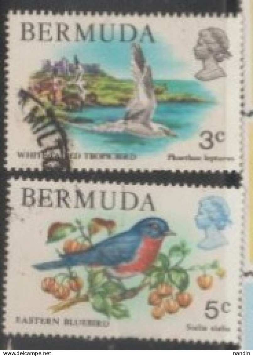 1978 BERMUDA USED STAMP   ON BIRDS/Phaethon Lepturus-White Faced Tropical Bird/Sialia Sialis-Eastern Blurbird - Aquile & Rapaci Diurni