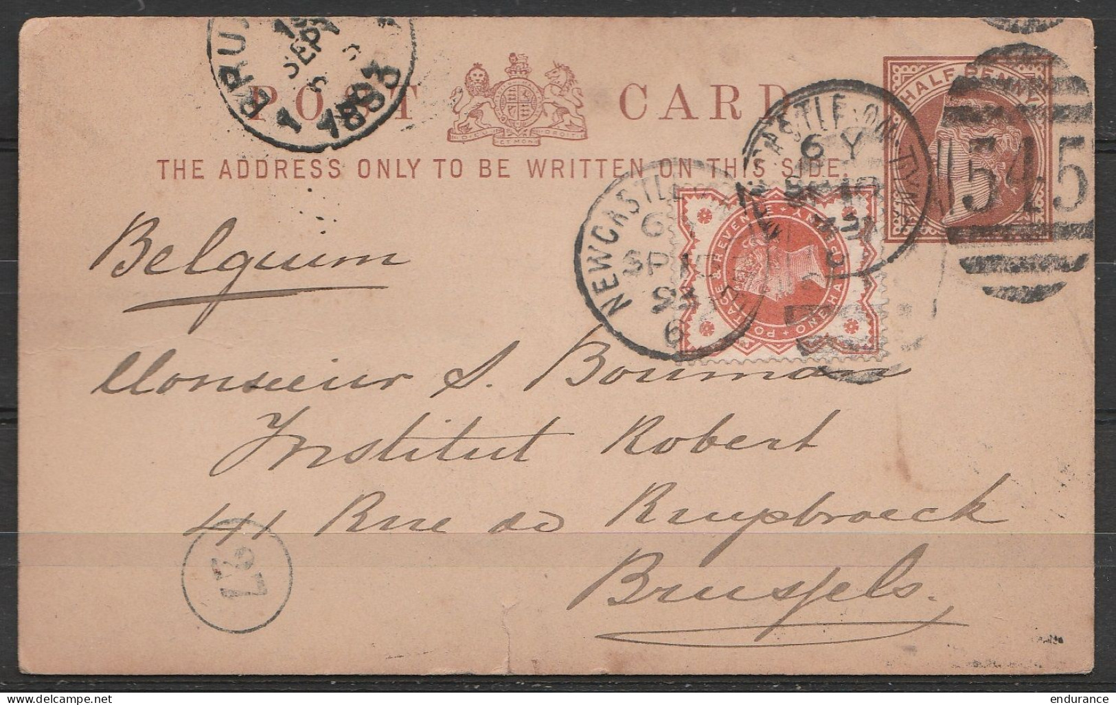 Petit EP épais QV 1/2d + 1/2d Càd NEWCASTLE /18 SEP 1893 Pour BRUXELLES - Stamped Stationery, Airletters & Aerogrammes