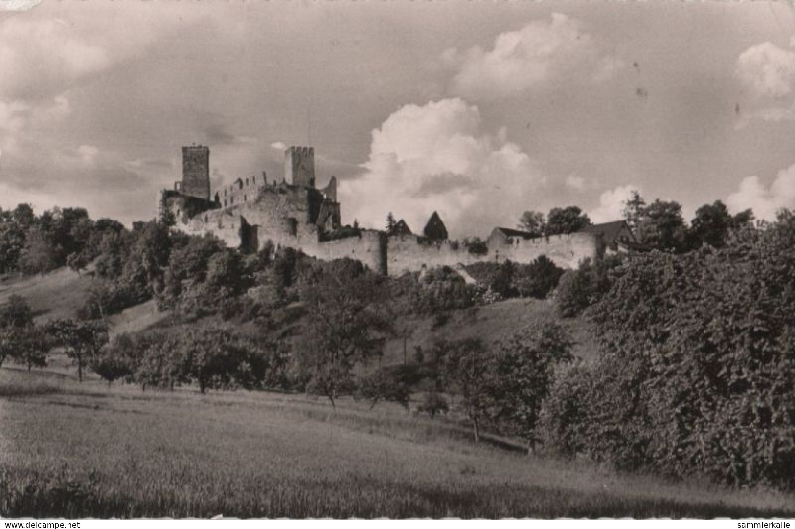 68742 - Lörrach-Rötteln - Burgruine - 1965 - Loerrach