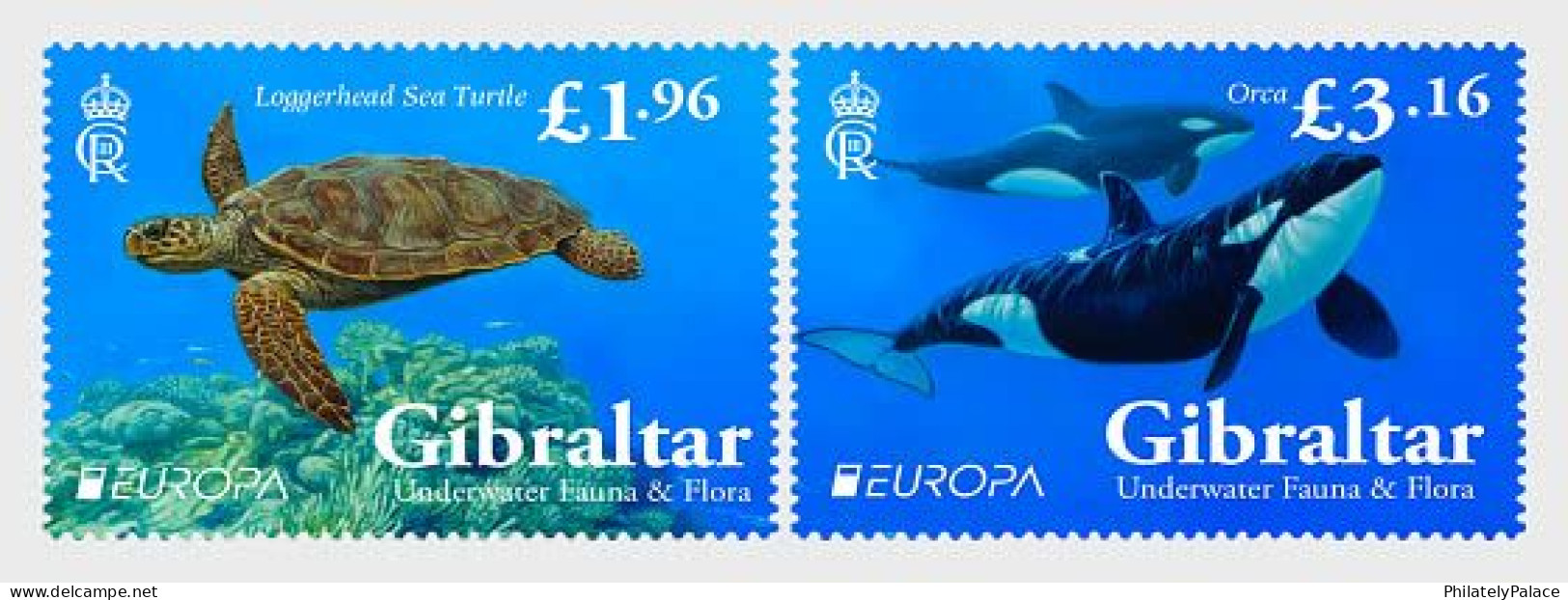 Gibralter 2024 Underwater Fauna And Flora,Marine Species,Sea Turtle,Orca, Killer Whale,Apex Predator,2v MNH (**) - Gibraltar