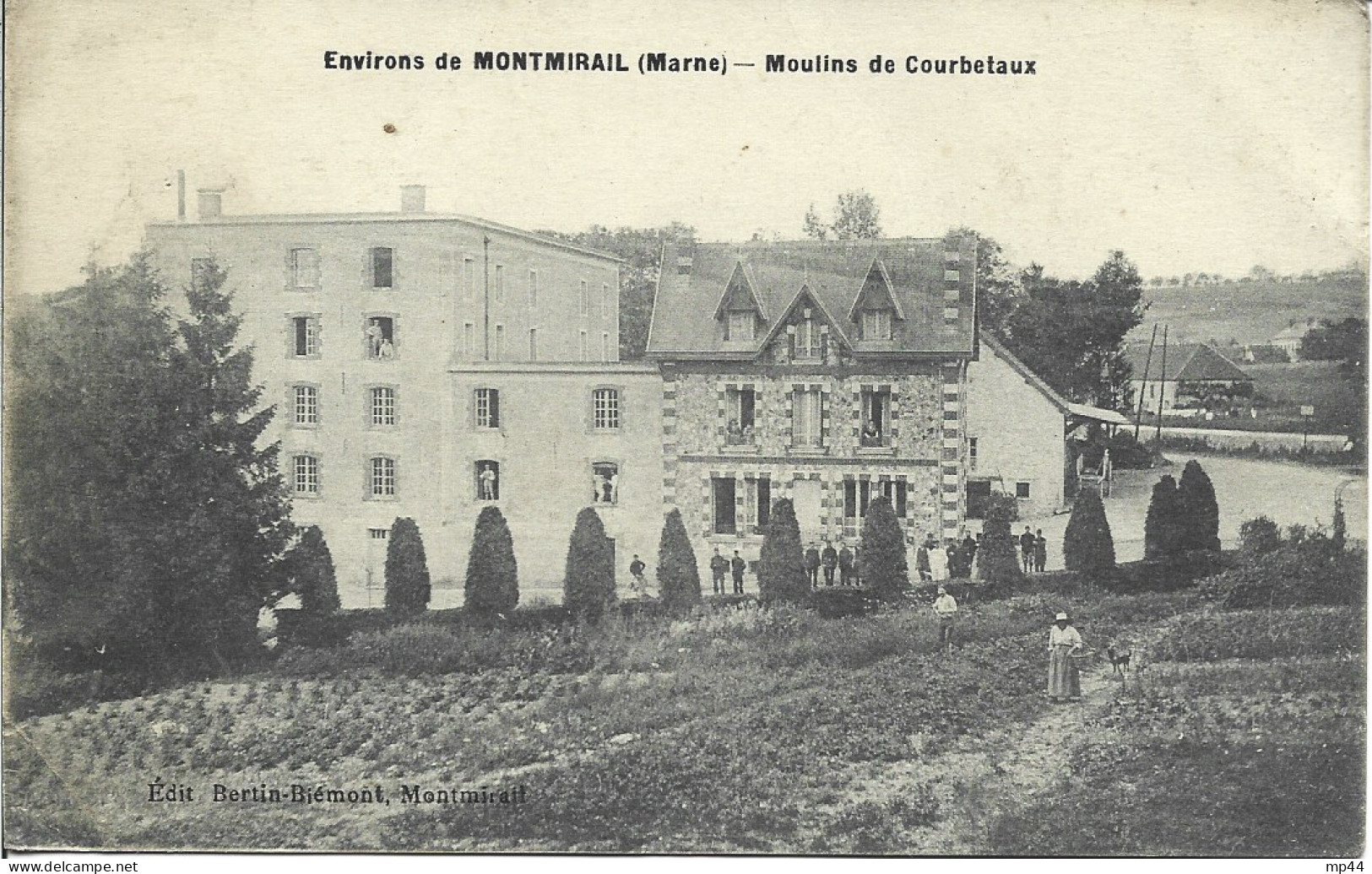 1B  ---  51  Environs De MONTMIRAIL   -  Moulins De Courbetaux - Montmirail