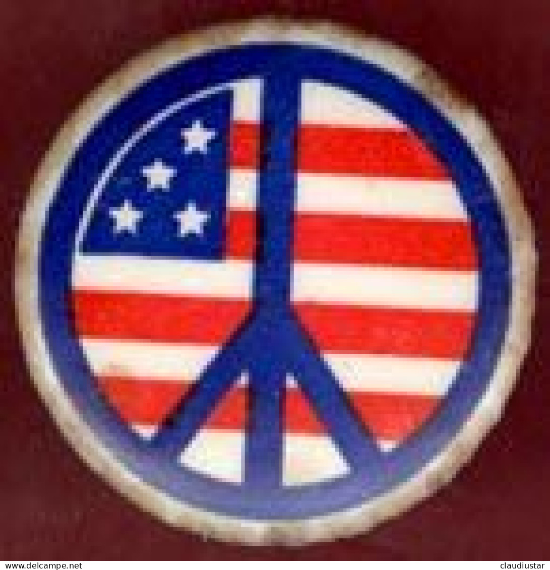 ** BROCHE  U. S. A. ** - Broches