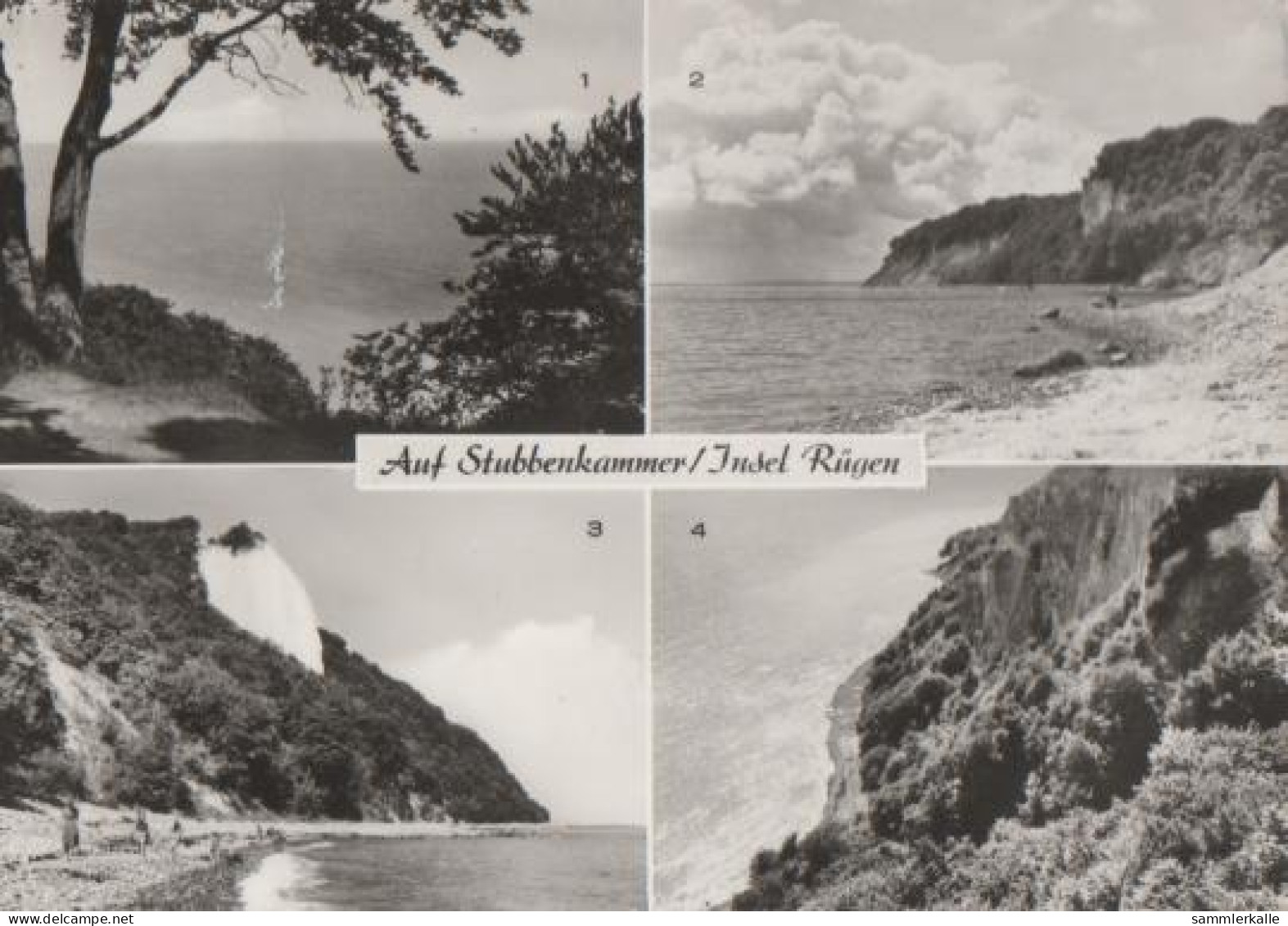 15762 - Binz - Stubbenkammer - Insel Rügen - 1984 - Rügen