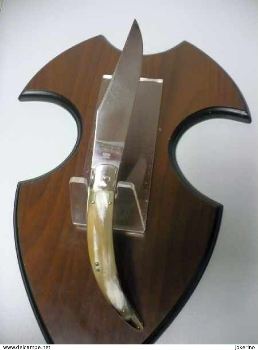 Renzo Pacotto - Stiletto CATALANA Pick Lock/31 - Bufalo Brasiliano - Limited Edition , Numero 6 Di 23 Pezzi - Blankwaffen