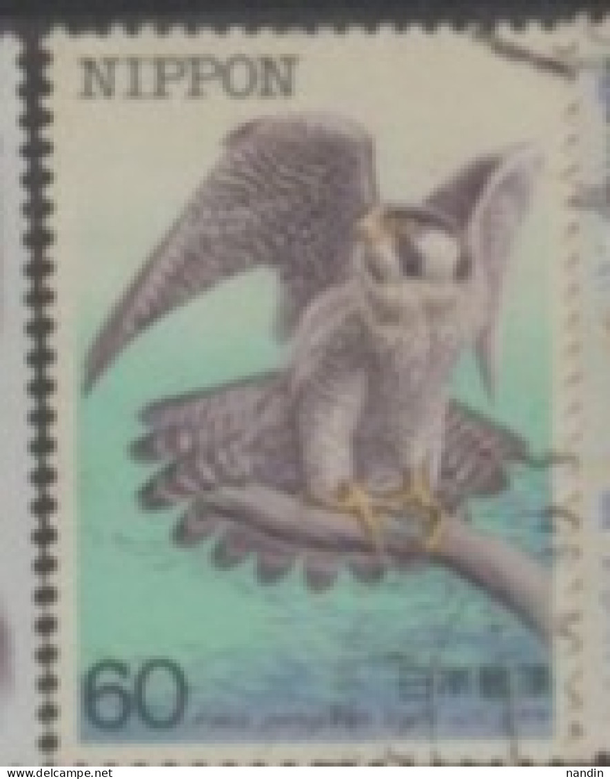 1984 JAPAN USED STAMP   ON BIRDS/ Endangered Birds - Falco Peregrinus Fruitii - Aquile & Rapaci Diurni