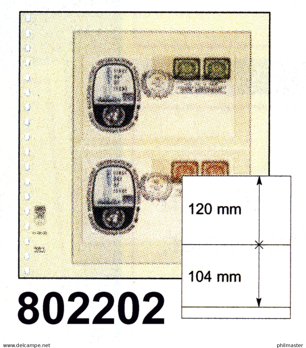 LINDNER-T-Blanko-Blätter Nr. 802 202 - 10er-Packung - Vierges