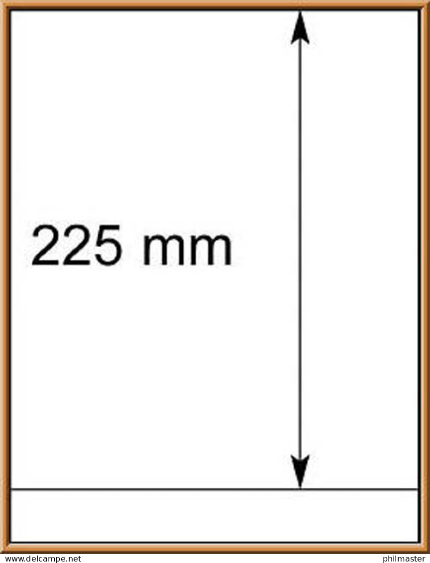 LINDNER-T-Blanko-Blätter Nr. 802 104 - 10er-Packung - Vírgenes