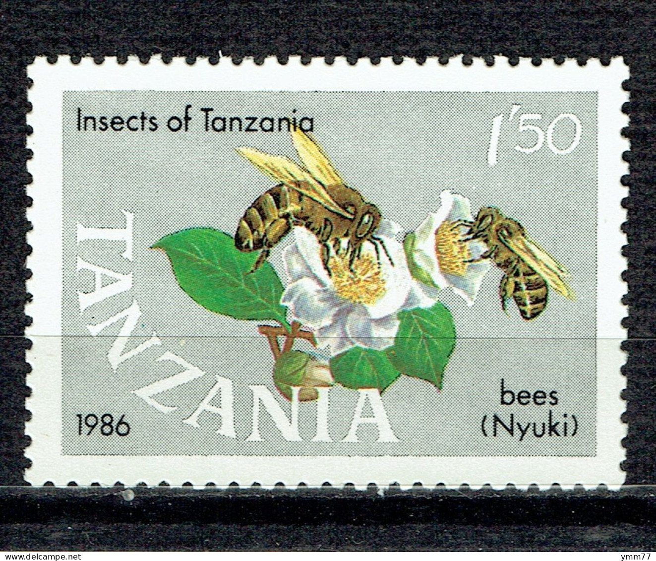 Faune. Insectes : Abeilles - Tanzanie (1964-...)