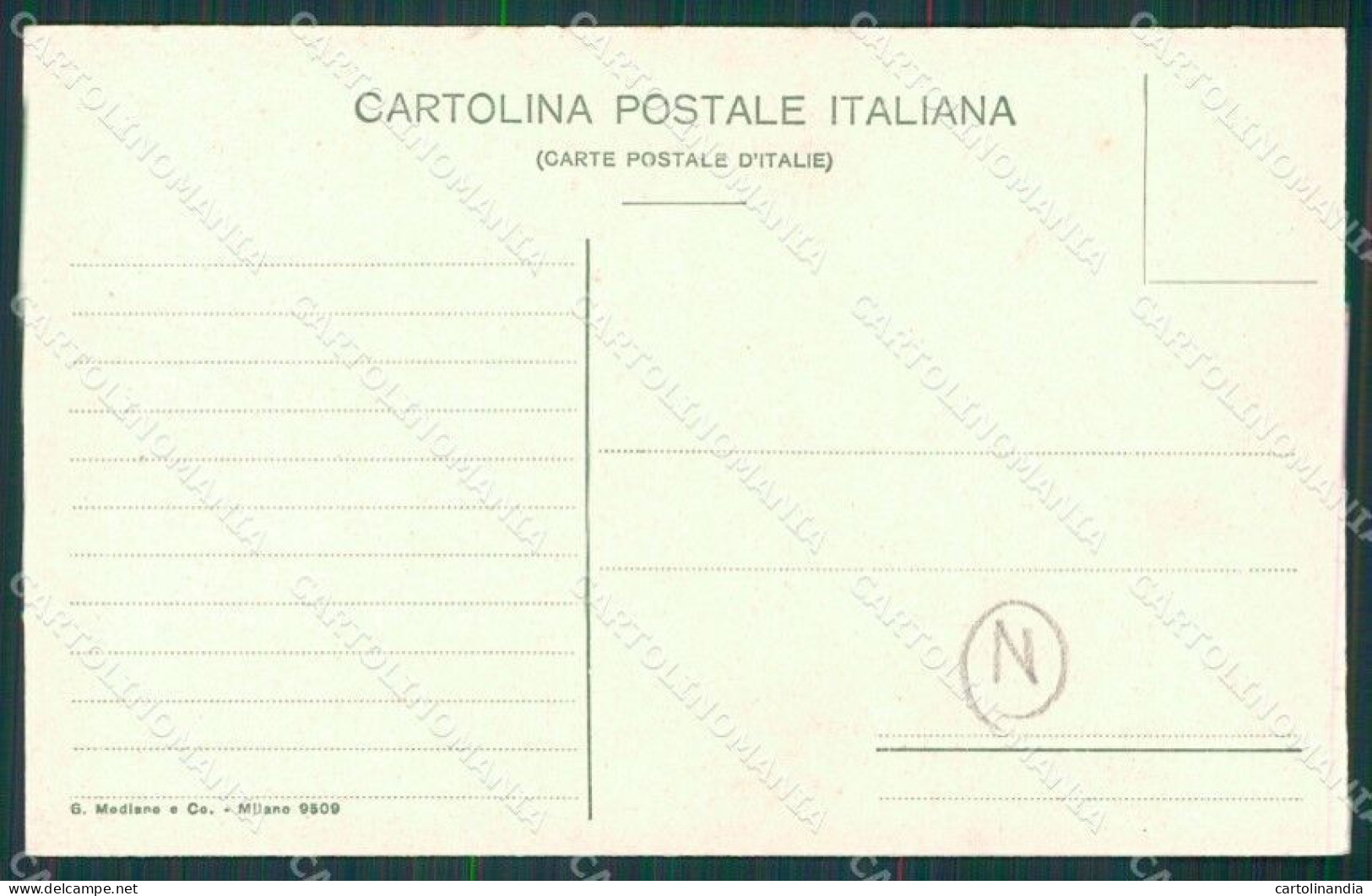 Catanzaro Terremoto Delle Calabrie Vibo Valentia Parghelia Cartolina QZ4137 - Catanzaro