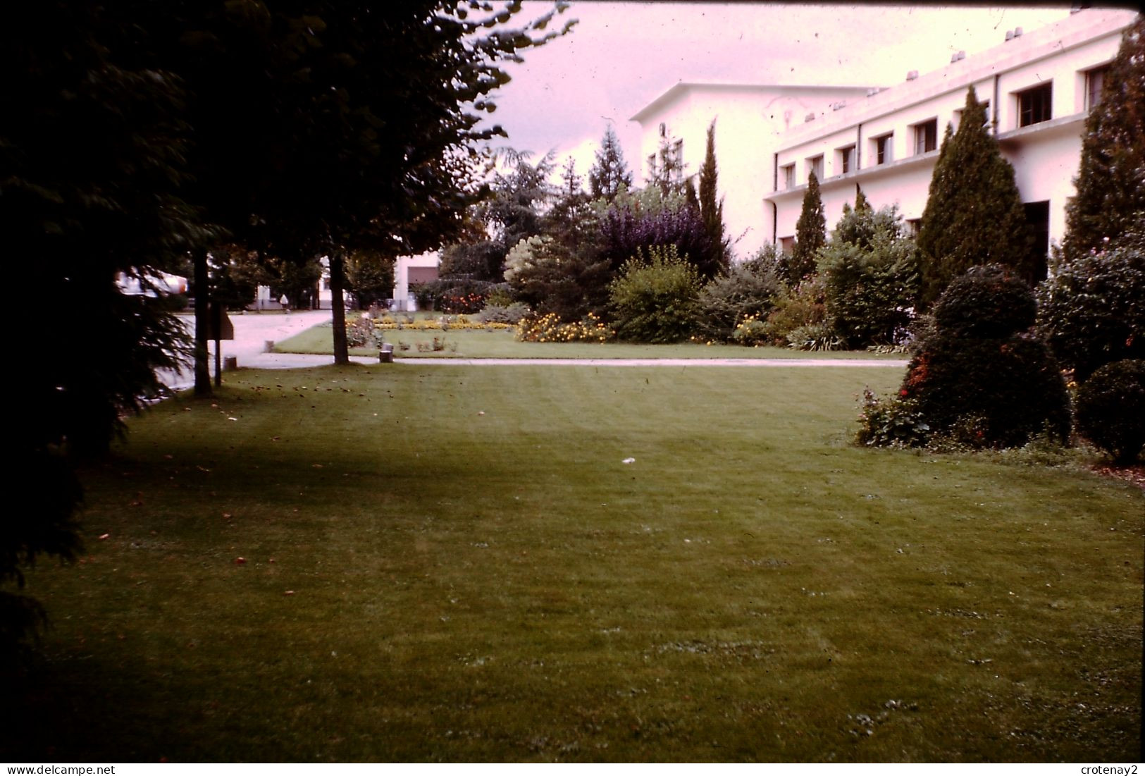 Photo Diapo Diapositive Slide à Situer Beau Jardin En 1963 VOIR ZOOM - Diapositives