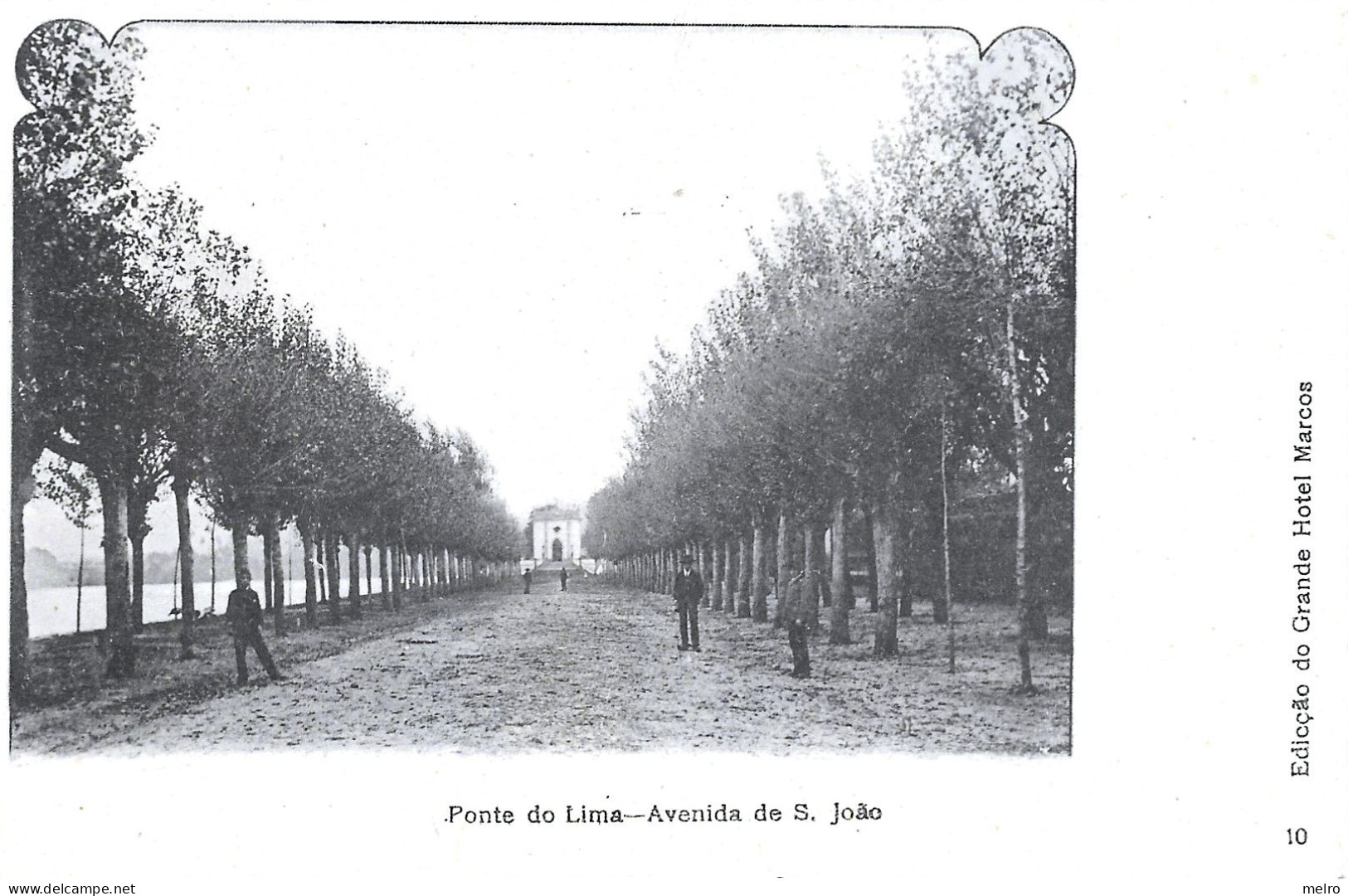 Portugal - PONTE DE LIMA - Avenida De S. João. - Edição Do Grande Hotel MARCOS - Viana Do Castelo