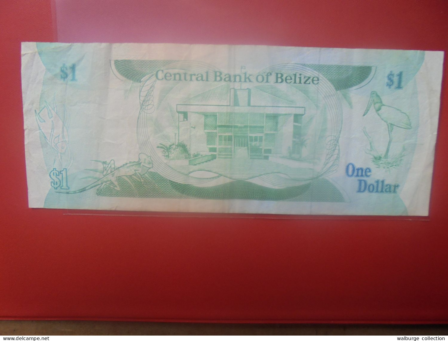 BELIZE 1$ 1987 Circuler (B.33) - Belize