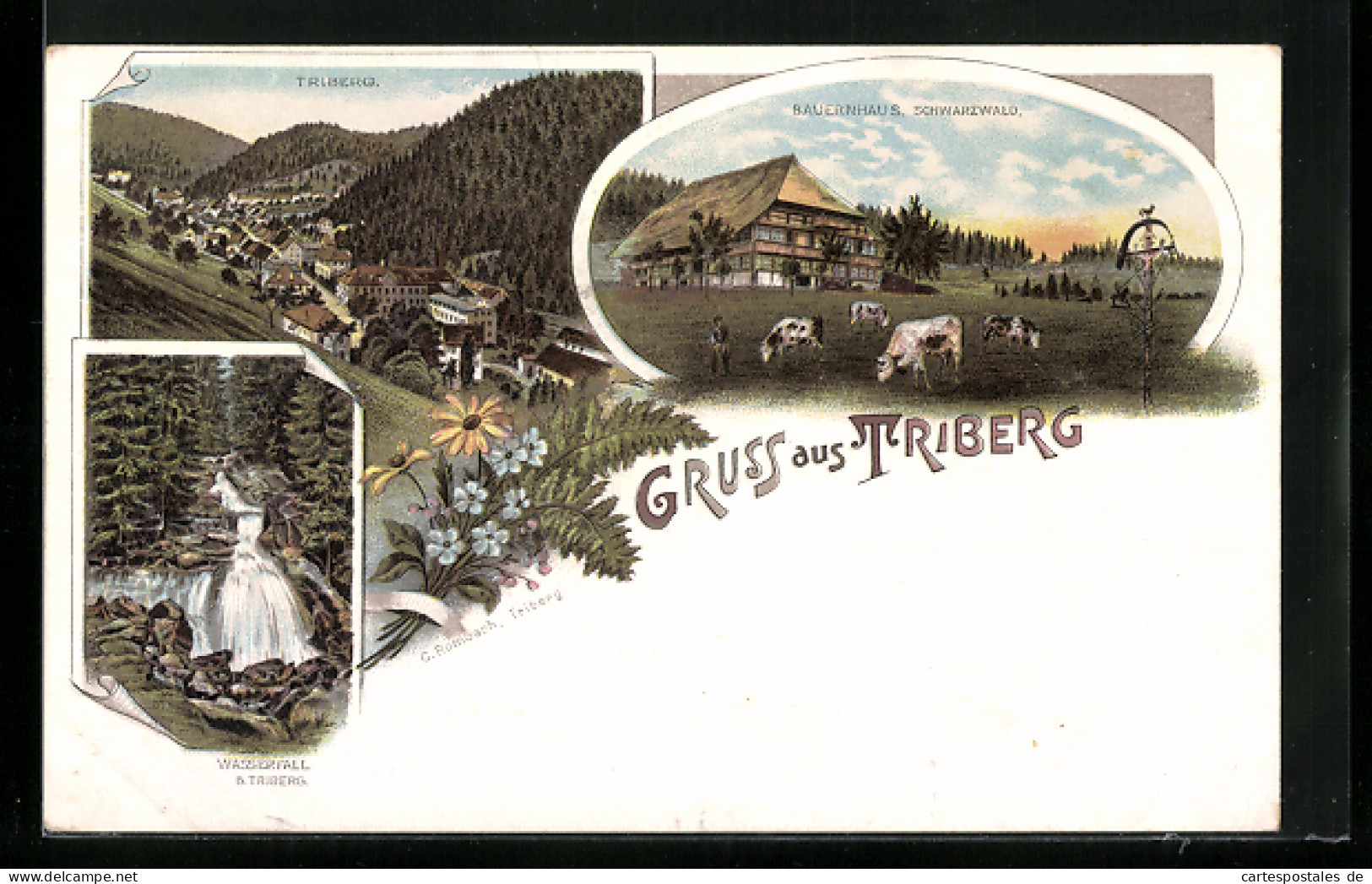 Lithographie Triberg, Bauernhaus Schwarzwald, Wasserfall Und Ortsansicht  - Triberg