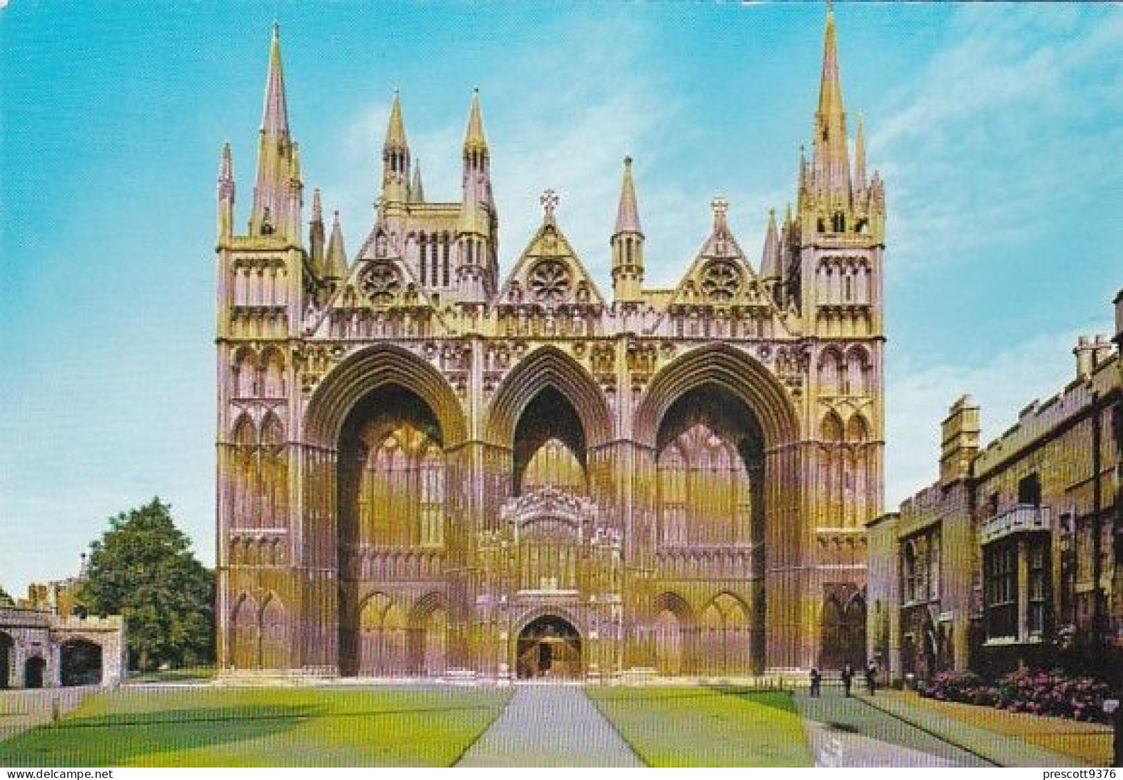 Peterborough Cathedral - Cambridge - Unused Postcard - - Cambridge