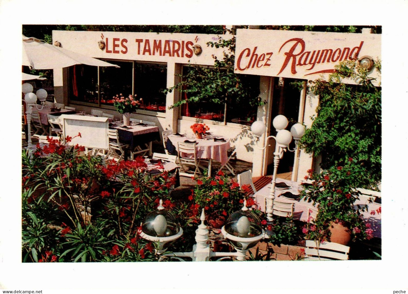 N°1061 Z -cpsm  "les Tamaris" Le Lavandou - Hotels & Gaststätten