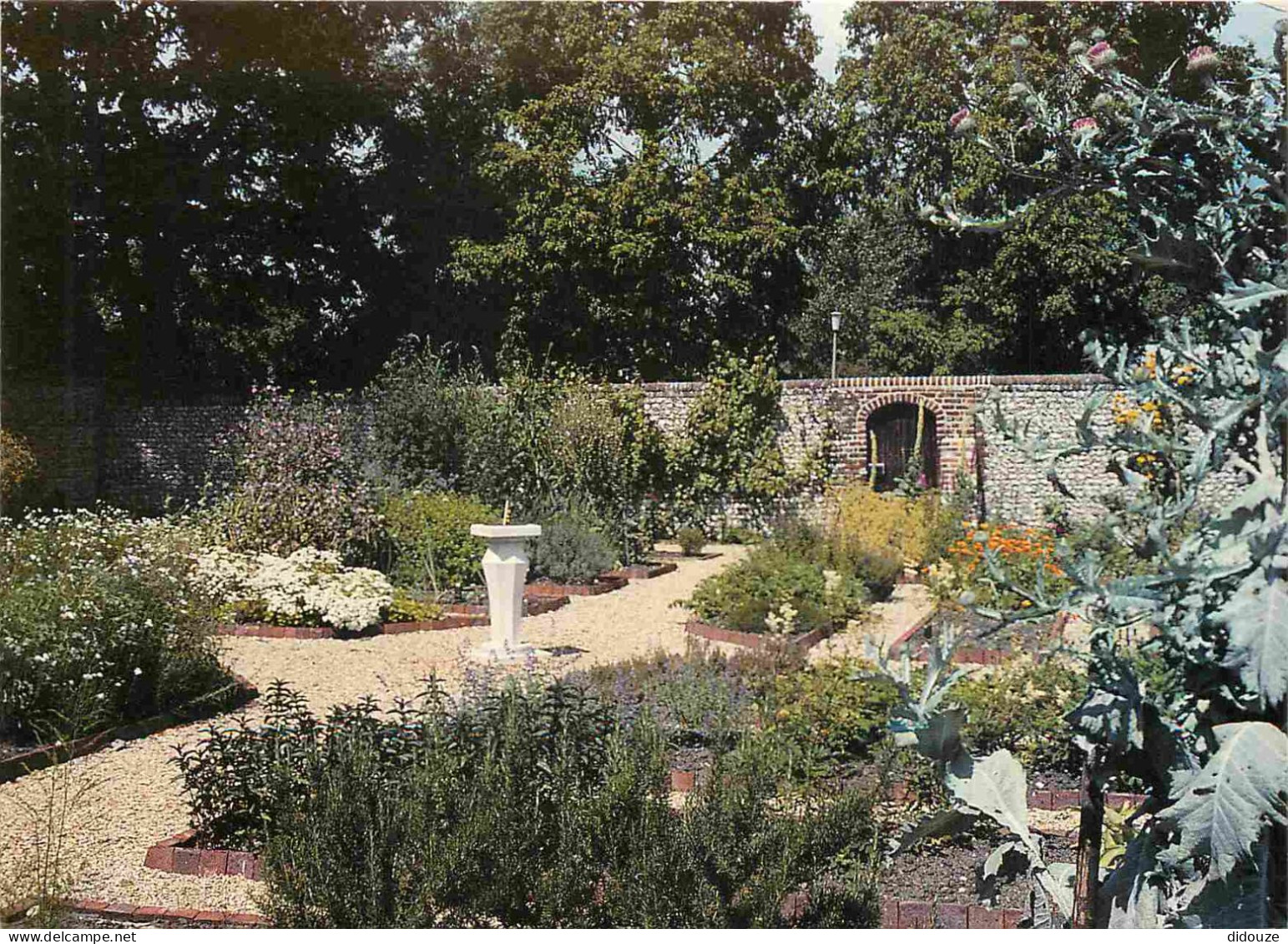 Angleterre - Petersfield - Physic Garden - A Recreation Of A 17th Century Garden - Jardins - Hampshire - England - Royau - Sonstige & Ohne Zuordnung