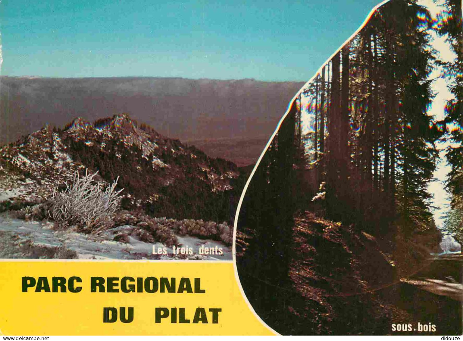 42 - Le Mont Pilat - Parc Régional Du Pilat - Multivues - CPM - Voir Scans Recto-Verso - Mont Pilat