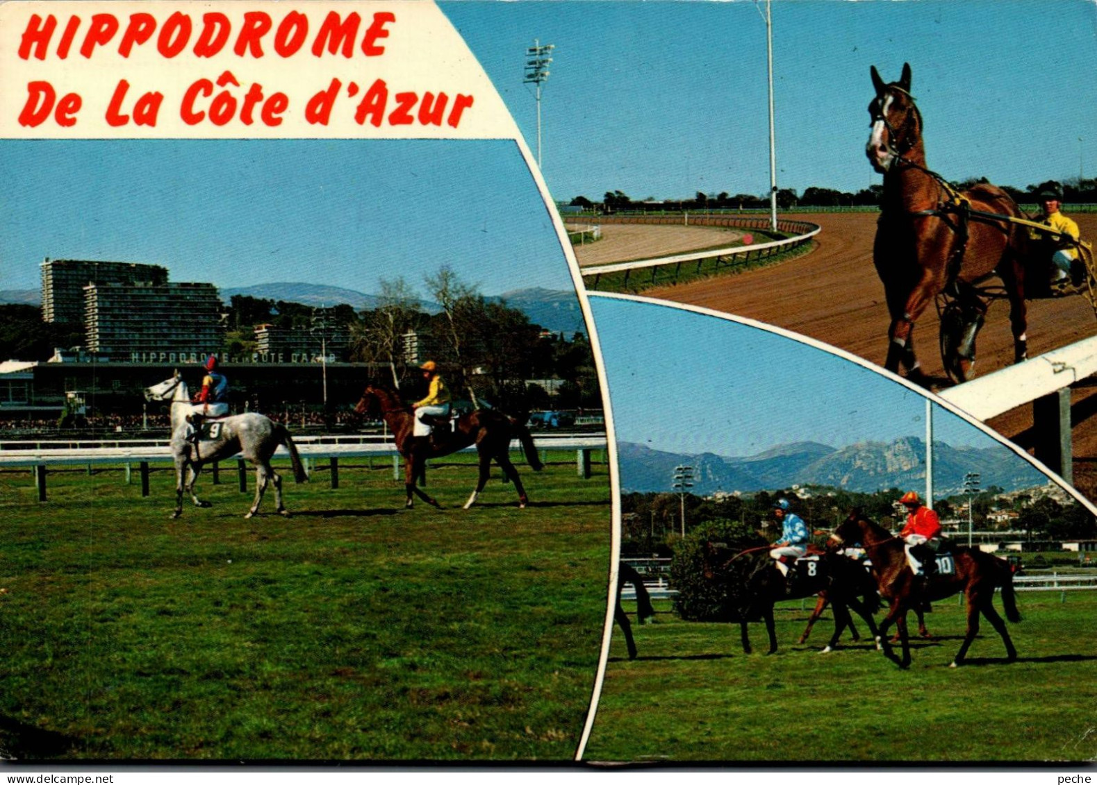 N°1063 Z -cpsm  Hippodrome De La Côte D'Azur -Cagnes Sur Mer- - Hippisme