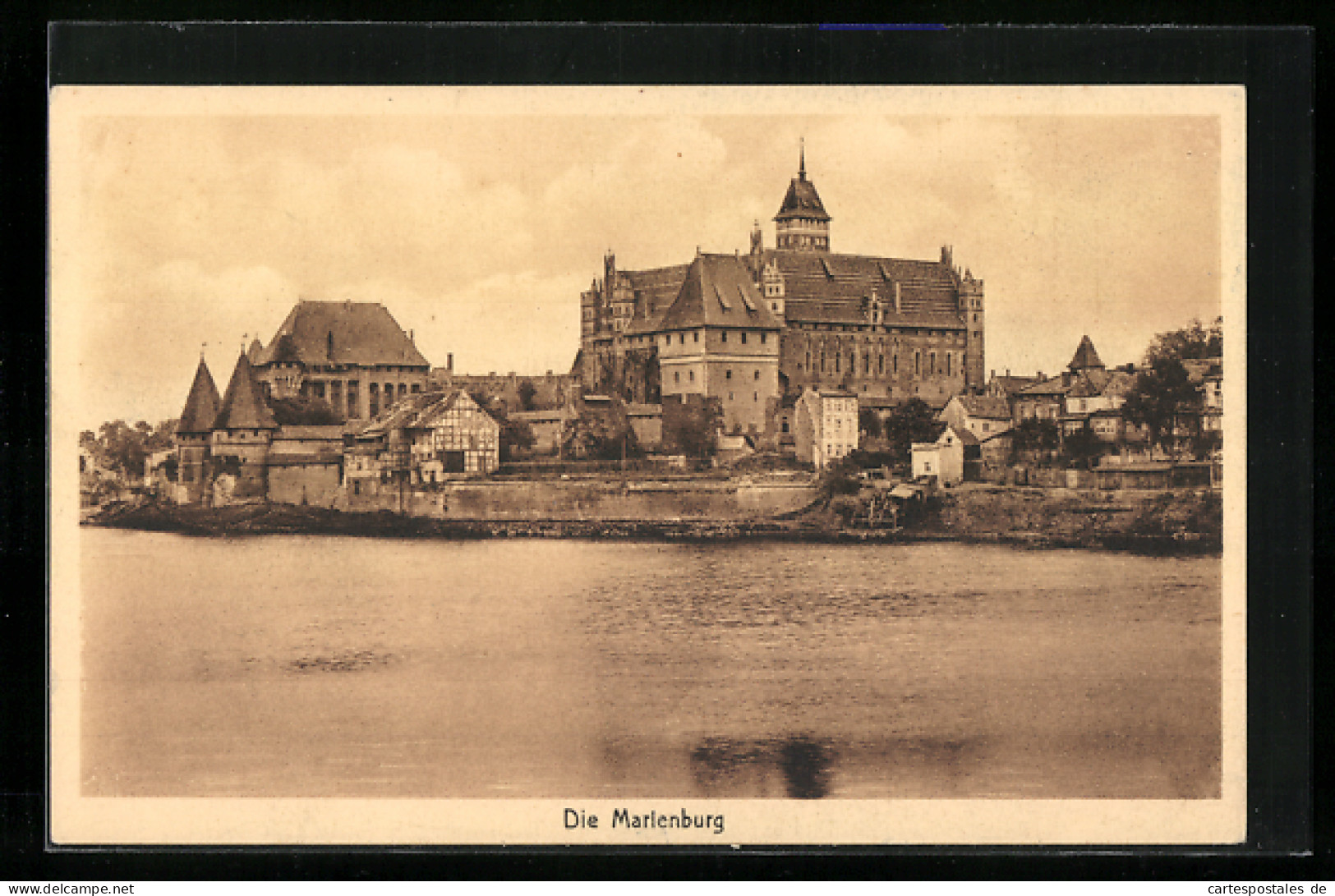 AK Marienburg / Malbork, Panorama, Uferpartie  - Westpreussen