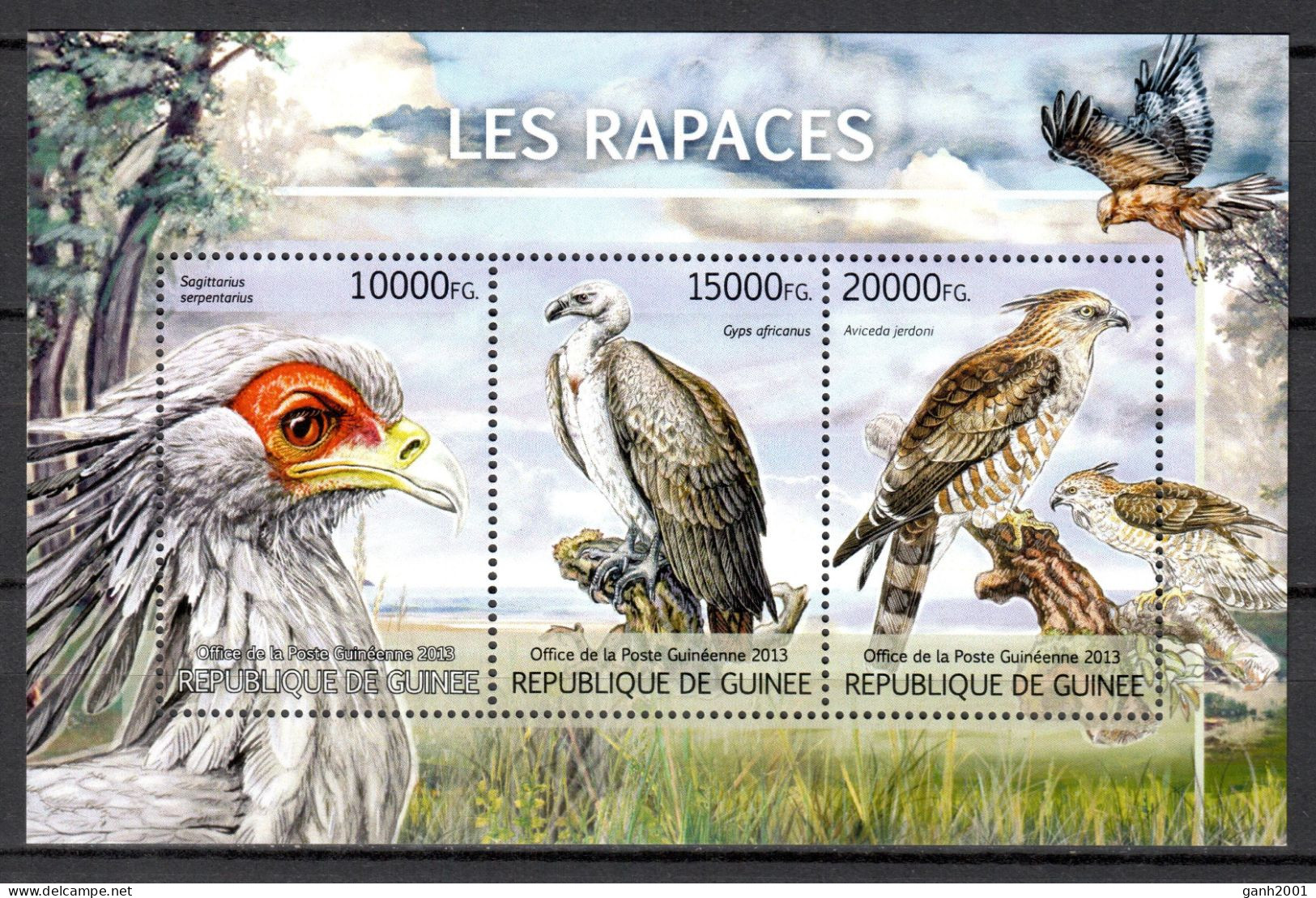 Guinea 2013 / Birds MNH Vögel Aves Uccelli Oiseaux / Cu22422  3-28 - Autres & Non Classés