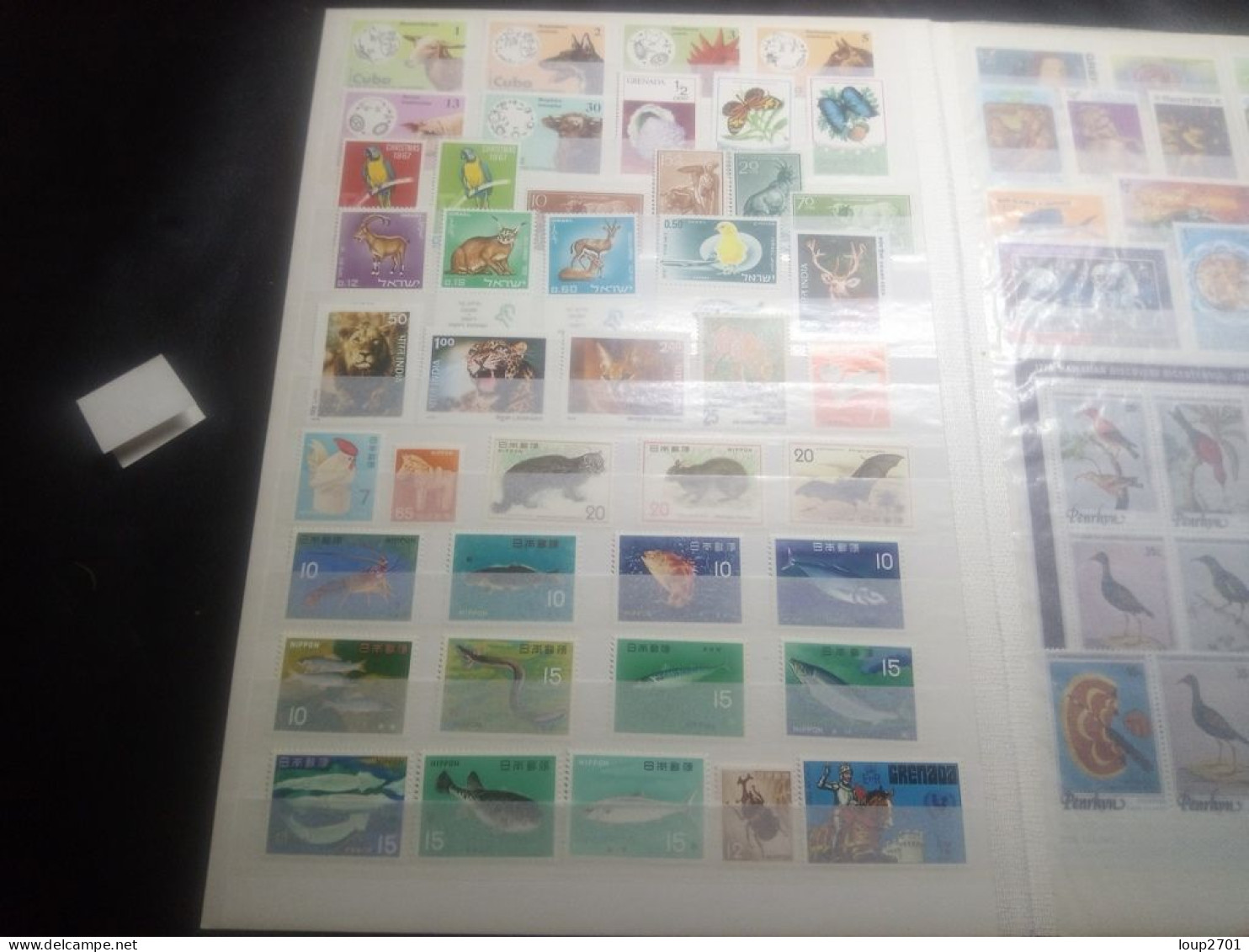 DM904 LOT FEUILLES MONDE TOUS NEUFS MNH A TRIER COTE++ DEPART 10€ - Collections (en Albums)