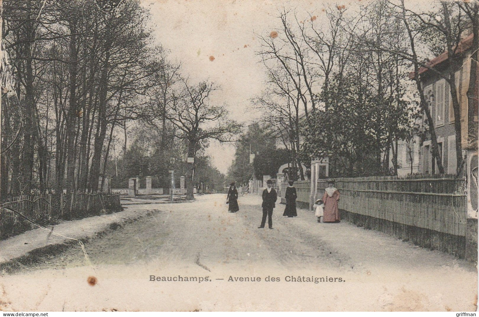 BEAUCHAMPS AVENUE DES CHATAIGNIERS 1915 TBE - Beauchamp
