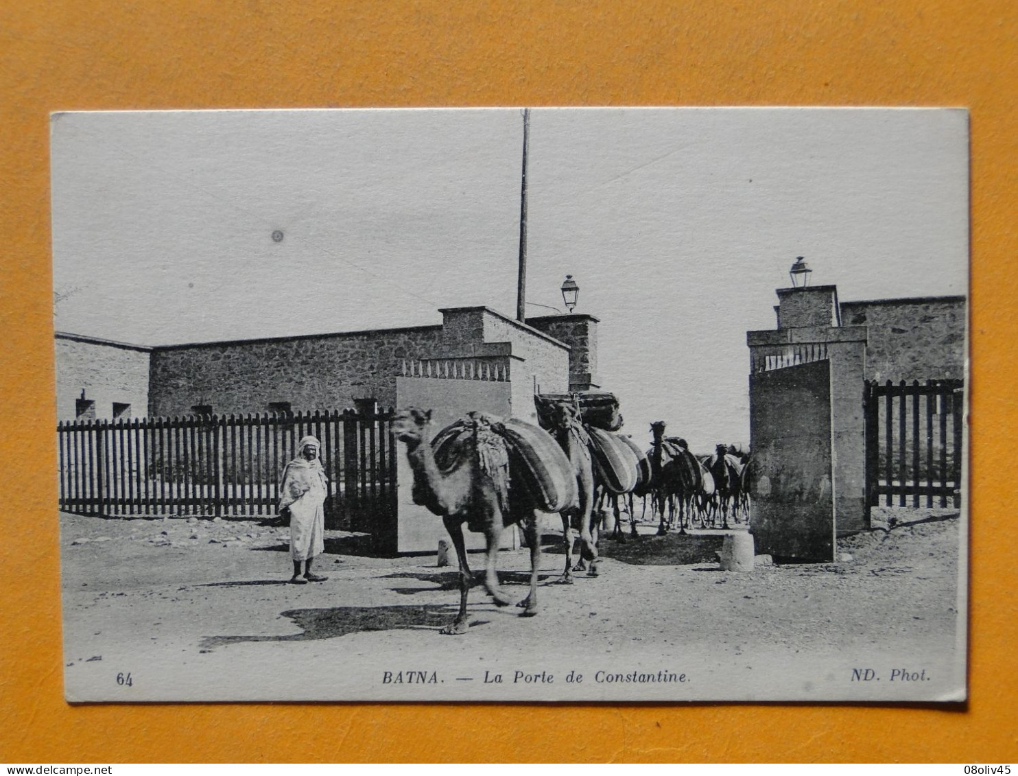 Cpa Algérie -- BATNA -- La Porte De Constantine - Caravane De Dromadaires - ANIMEE - Batna