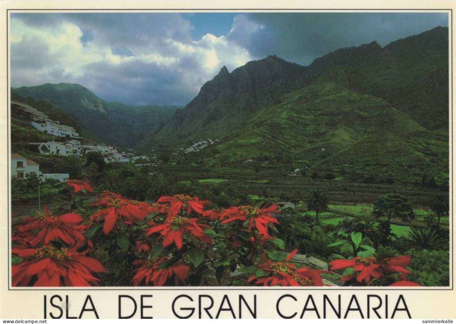 133513 - Gran Canaria - Spanien - Valle De Agaete - Gran Canaria