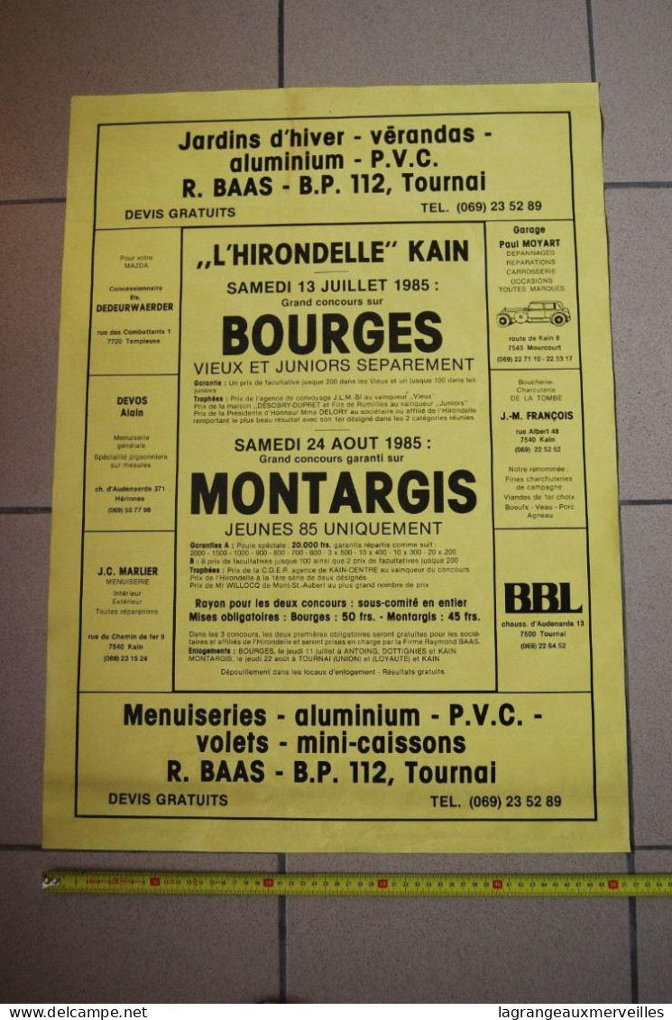 A1 Affiche De 1985 Jardins D'Hiver Montargis Bourges - Afiches