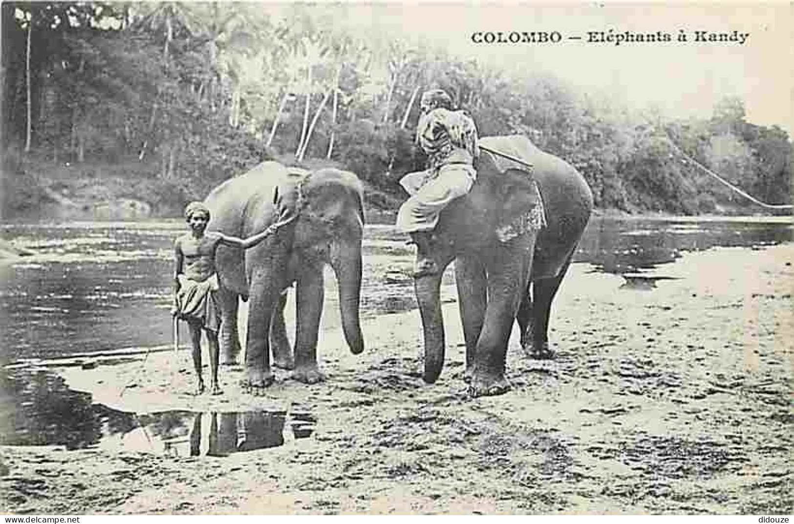 Sri Lanka - Colombo - Eléphants à Kandy - Animée - Précurseur - Carte Neuve - CPA - Voir Scans Recto-Verso - Sri Lanka (Ceylon)