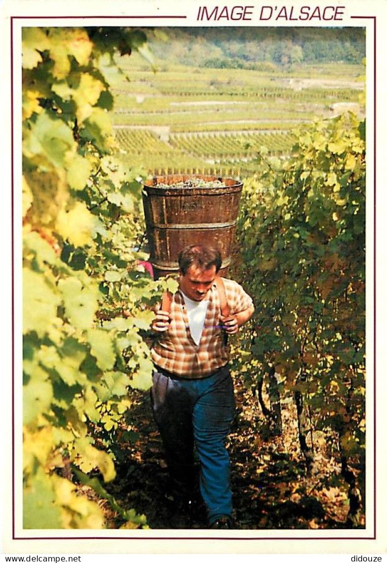 Vignes - Scènes De Vendanges - Les Vendanges En Alsace - CPM - Voir Scans Recto-Verso - Vignes