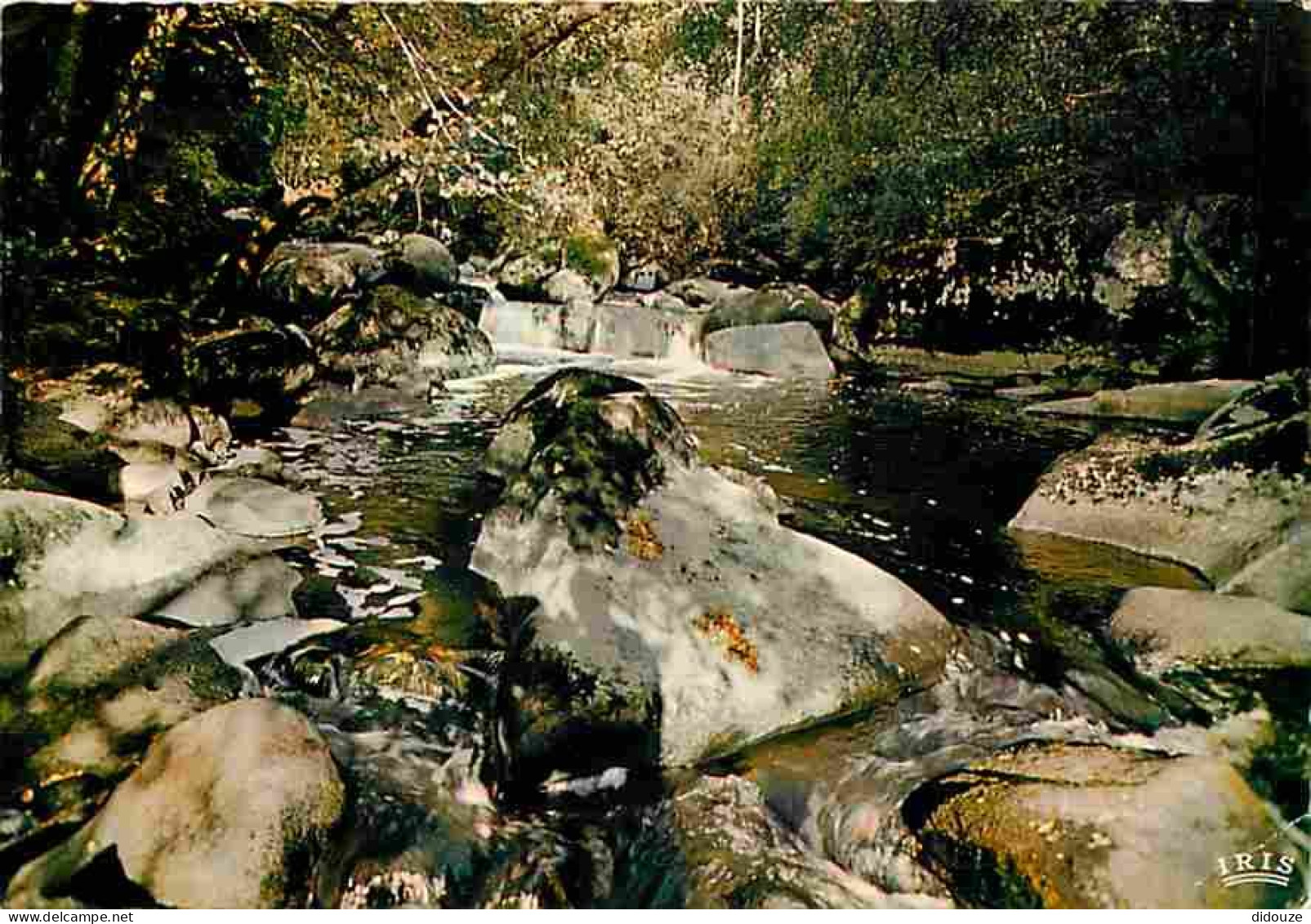 86 - Montmorillon - Le Saut De La Brame Aux Environs De Montmorillon - Carte Neuve - CPM - Voir Scans Recto-Verso - Montmorillon