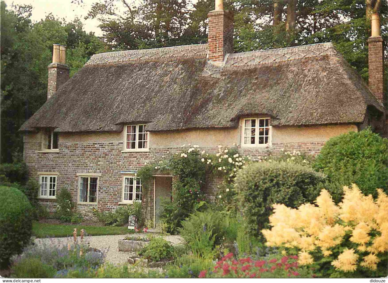 Angleterre - Dorchester - Thomas Hardy's Birthplace - Higher Bockhampton - The Cottage Dates From 1800 - Dorset - Englan - Other & Unclassified