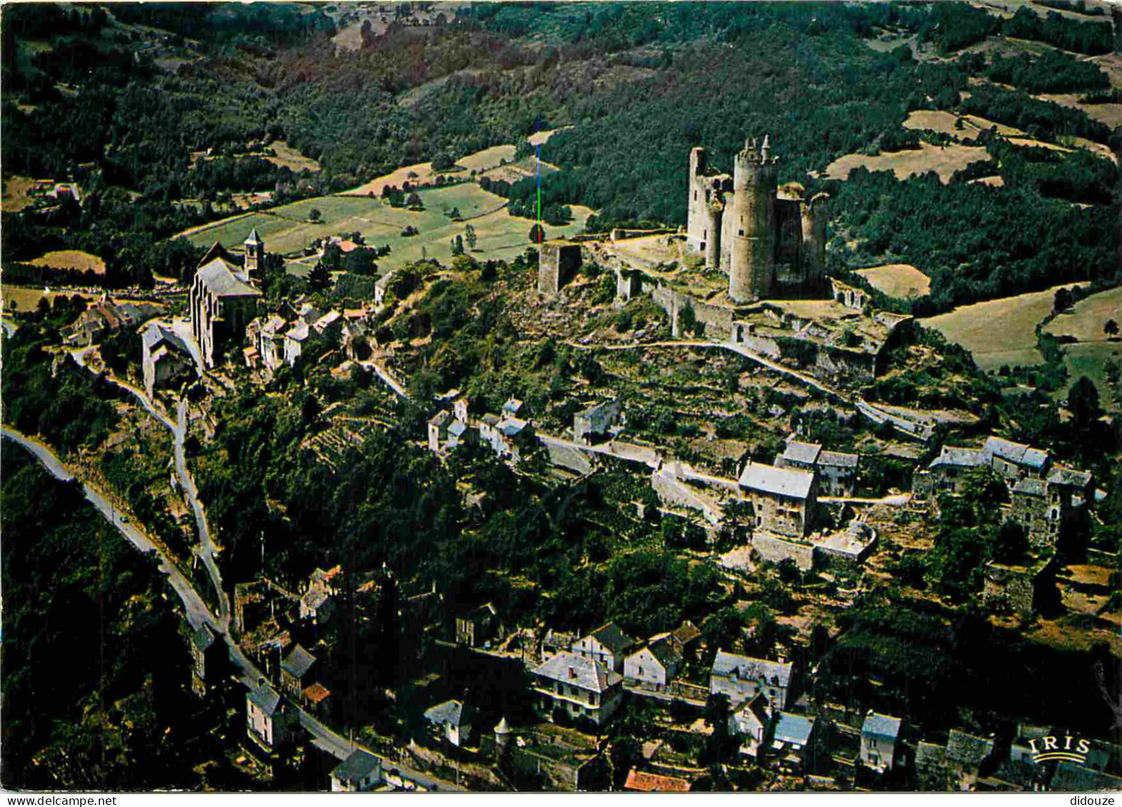 12 - Najac - Le Château-fort - Vue Aérienne - CPM - Voir Scans Recto-Verso - Najac