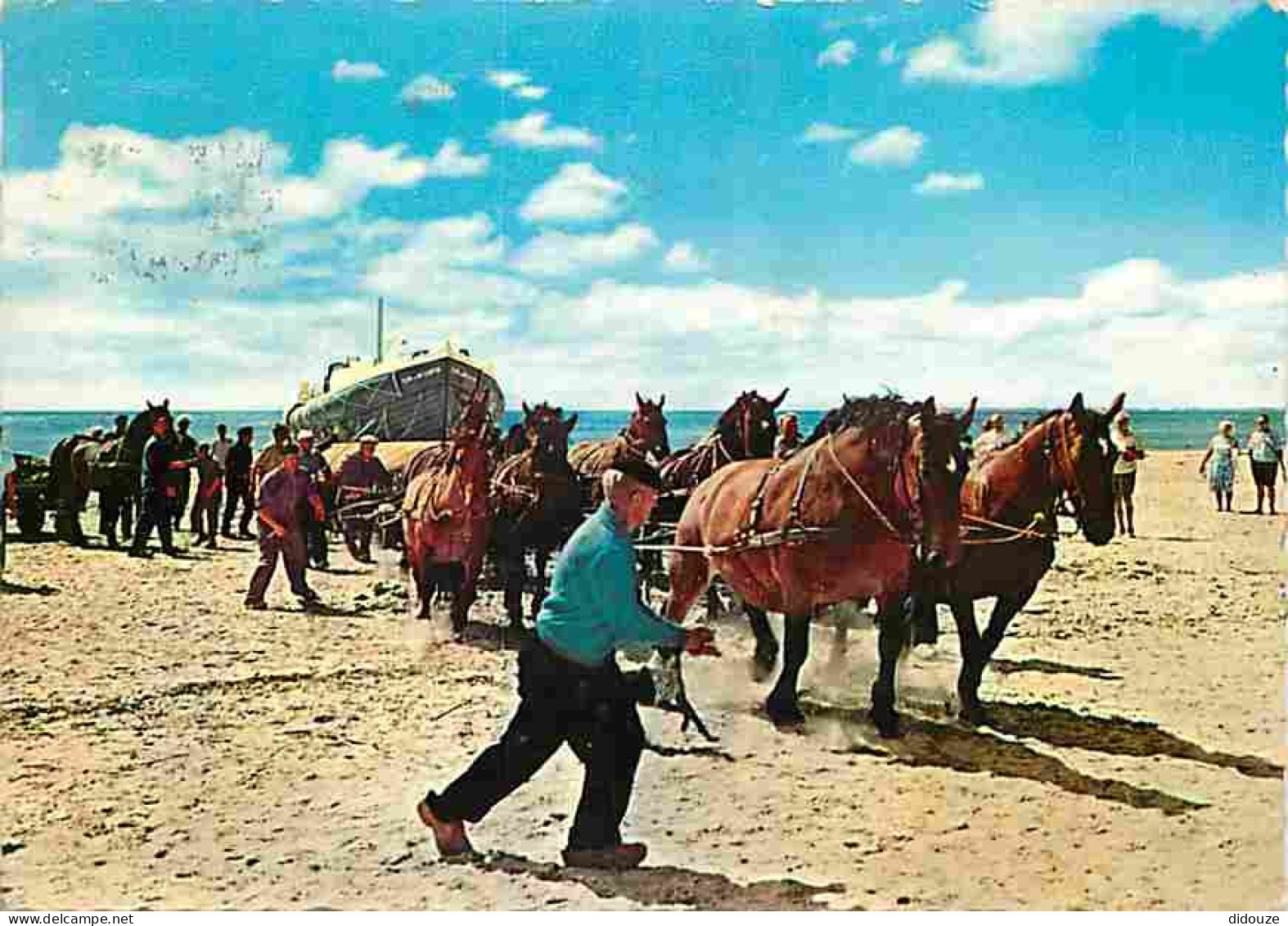 Animaux - Chevaux - Ameland - Hollum - De Reddingboot Wordt Uit Zee Getrokken - Pays Bas - CPM - Voir Scans Recto-Verso - Chevaux