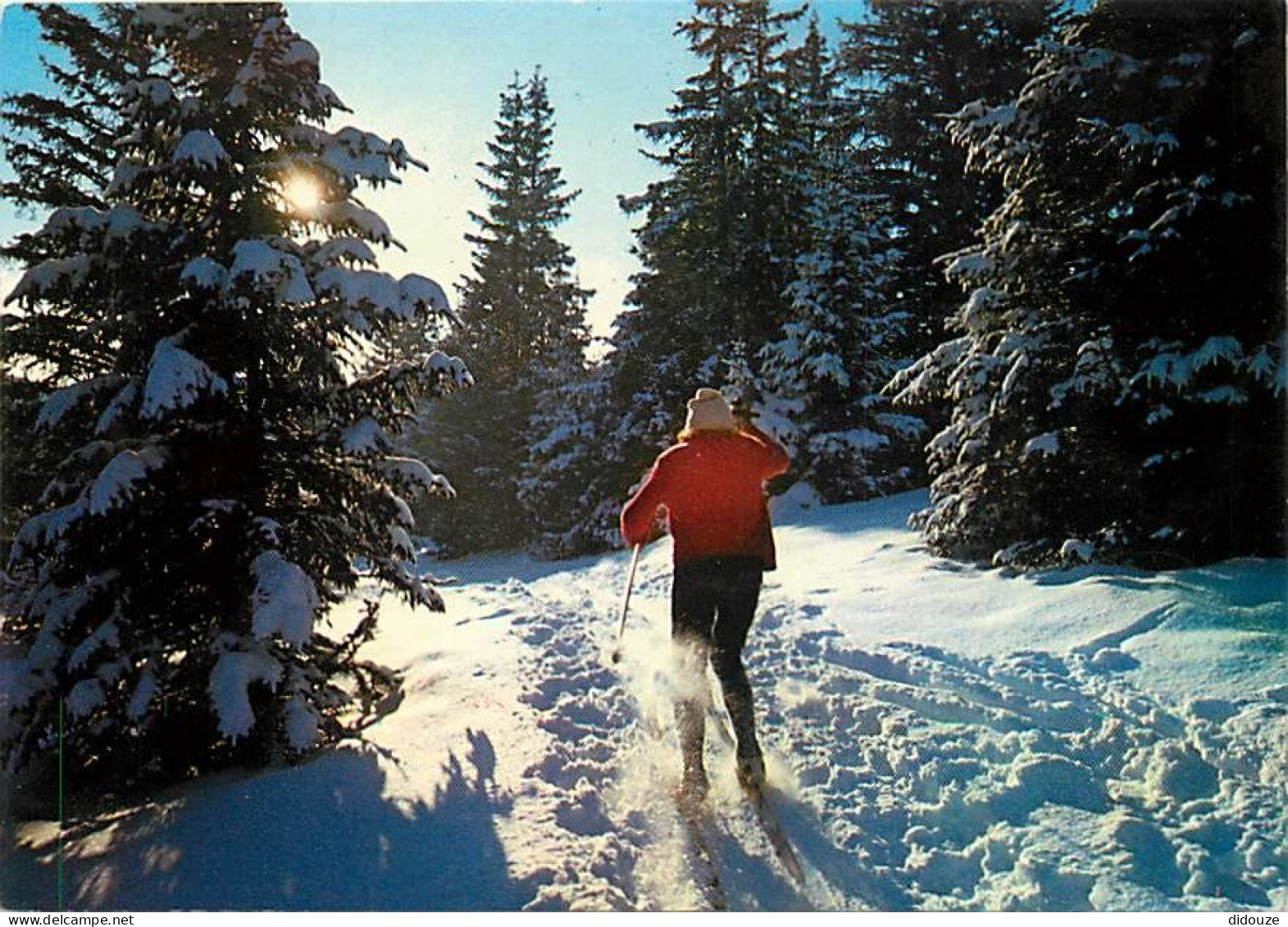 Sport - Sports D'Hiver - Ski - CPM - Voir Scans Recto-Verso - Sports D'hiver