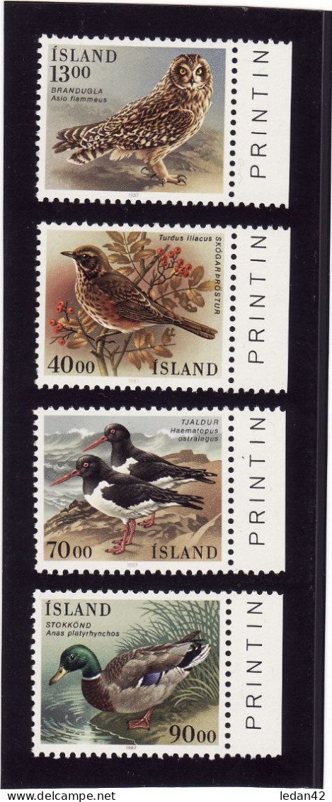 Islande 1987. Cat.Yvert N° 621/624 **. Faune Islandaise, Oiseaux. - Neufs