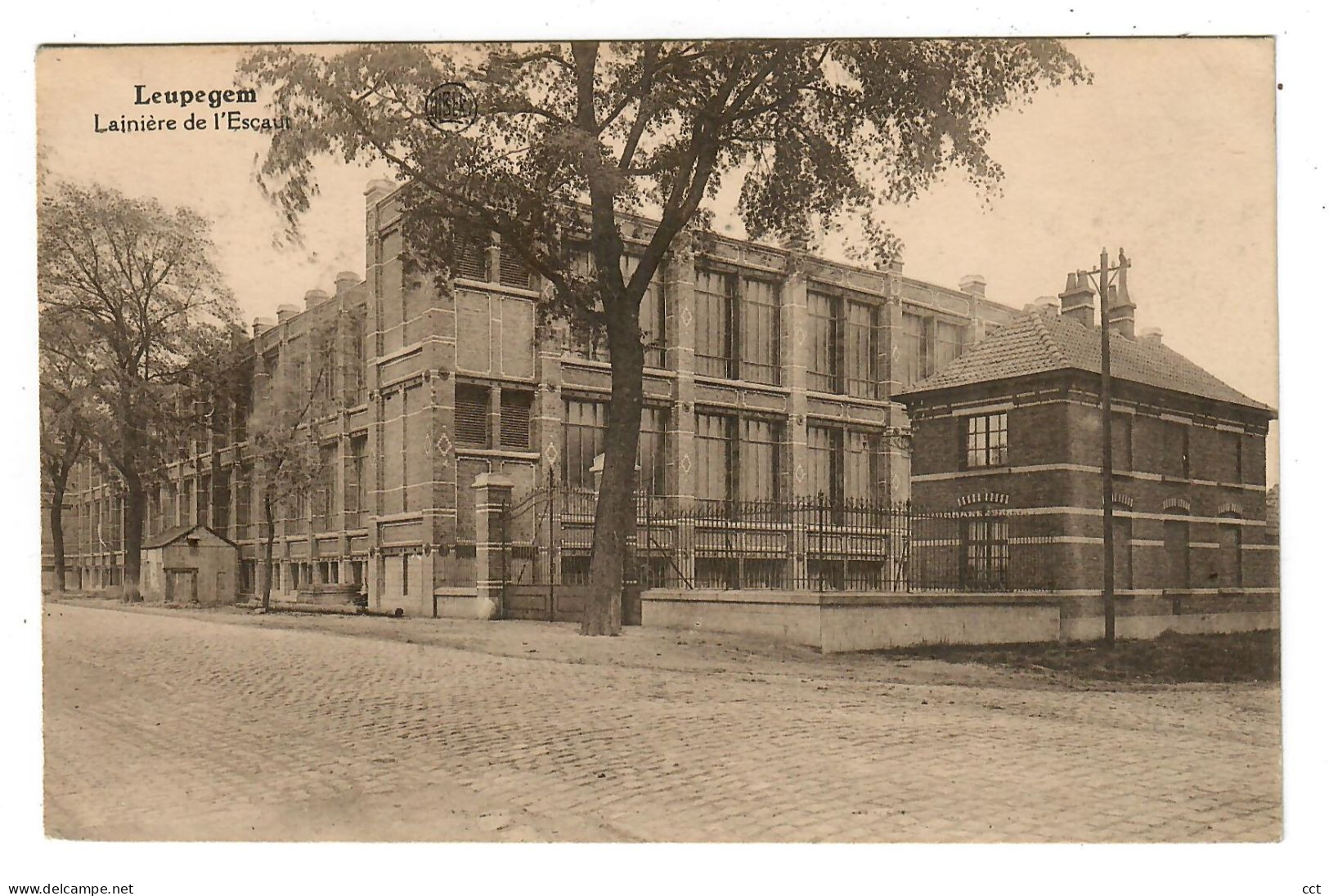 Leupegem  Oudenaarde  Lainière De L' Escaut - Oudenaarde