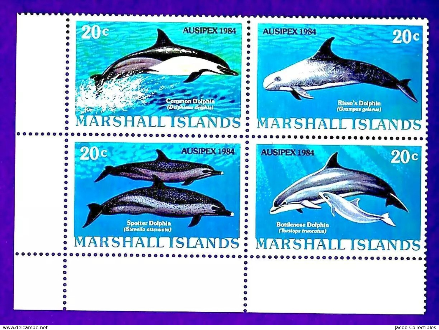 Dolphin Sea Marine Ocean Aquatic Mammal Nature - 1984 Marshall Islands - Dolphins