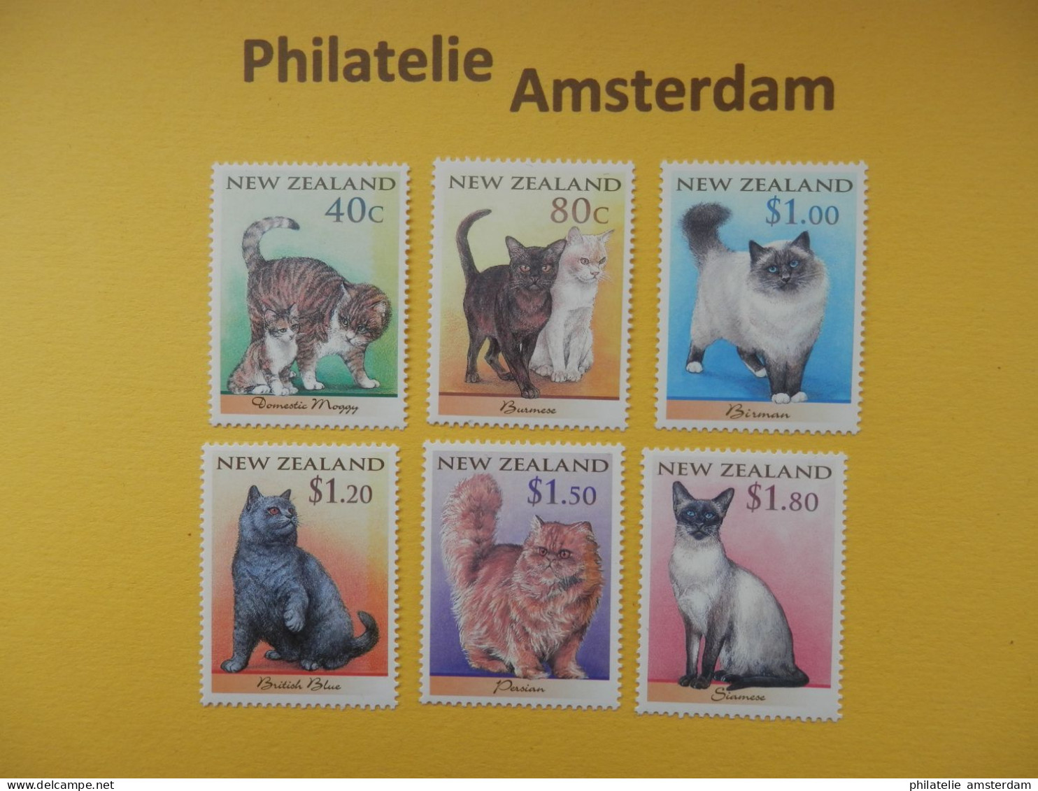 New Zealand 1998, FAUNA CATS CHATS KATZEN KATTEN GATOS: Mi 1651-56, ** - Hauskatzen