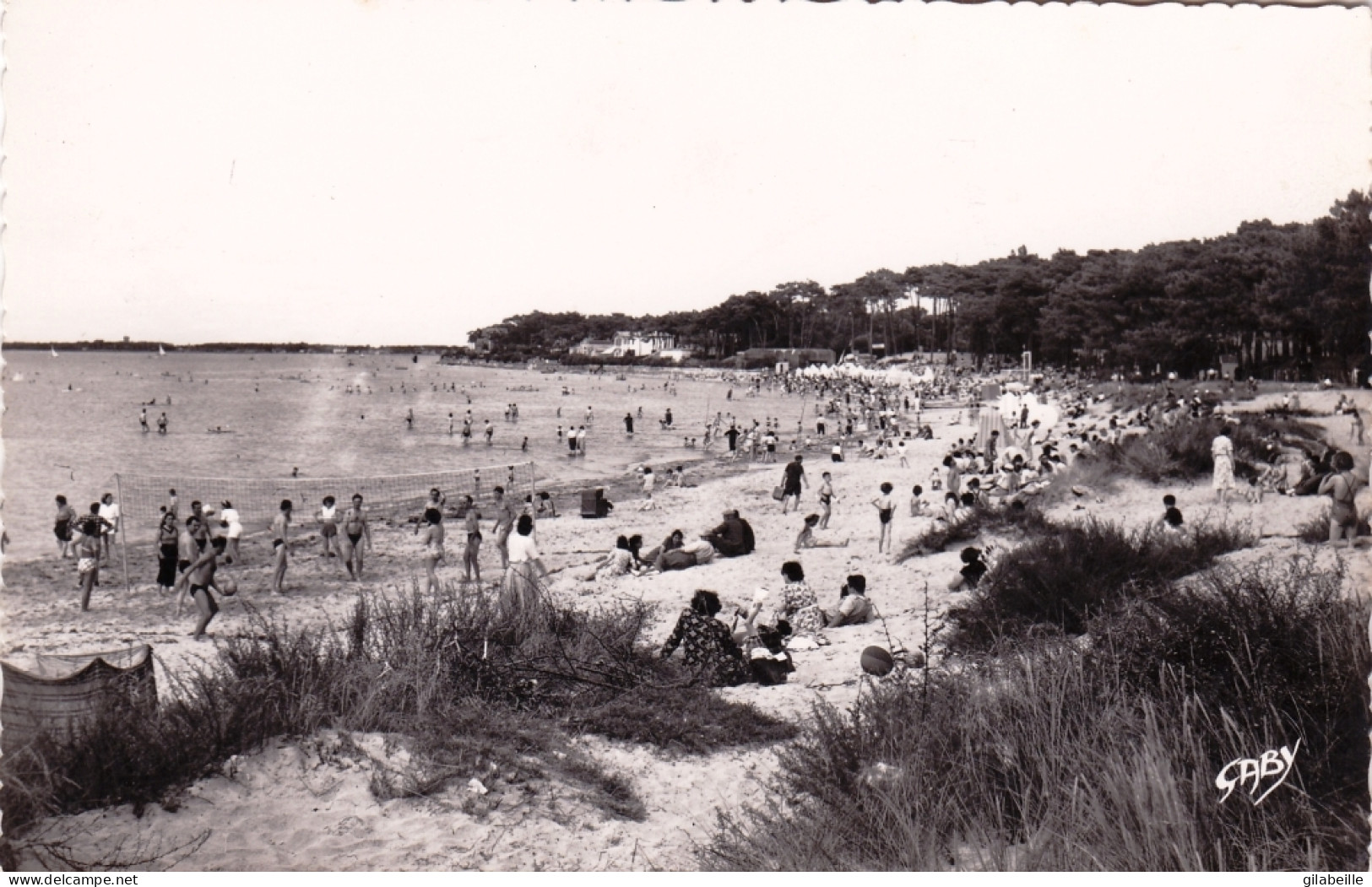 17 - Charente Maritime -  RONCE Les BAINS ( La Tremlade ) - La Plage - La Tremblade