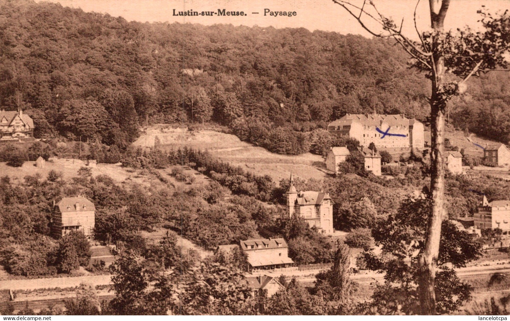 LUSTIN SUR MEUSE / PAYSAGE - Profondeville